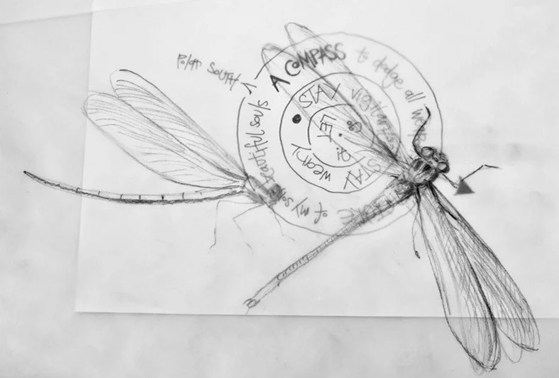Dragonfly Compass(composite image by Space2Create