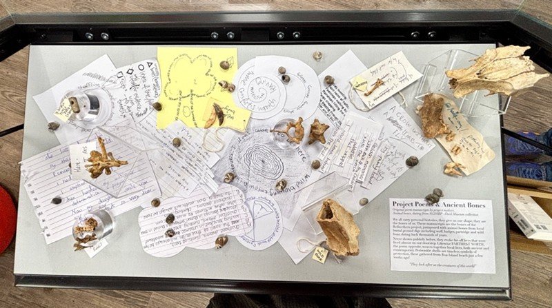 Bones &amp; Poems display (Photo Julia Grime)