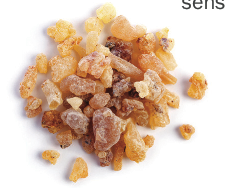 Screen Shot 2017-06-13 at 2.25.13 PM.png