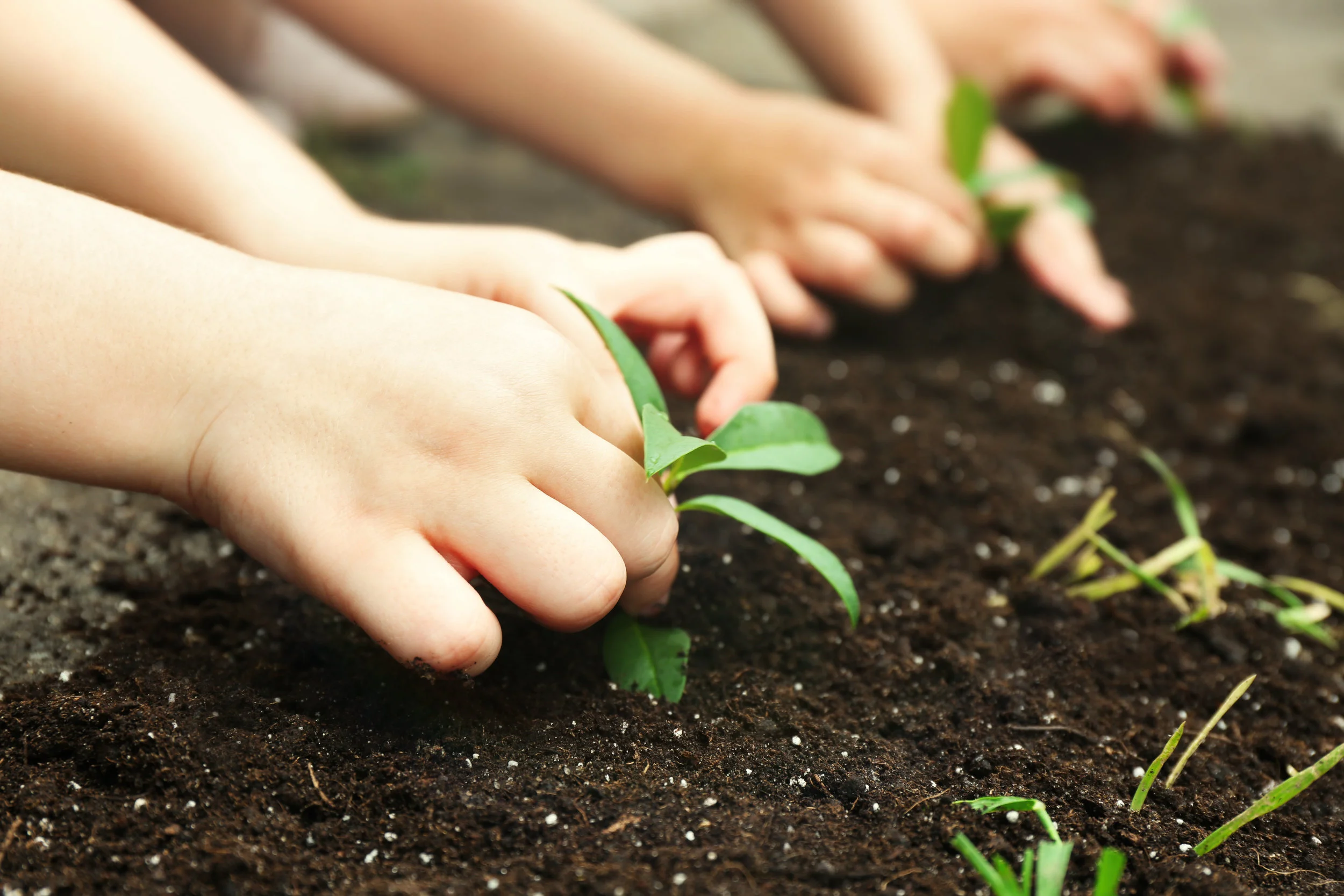 kids planting photo.jpeg