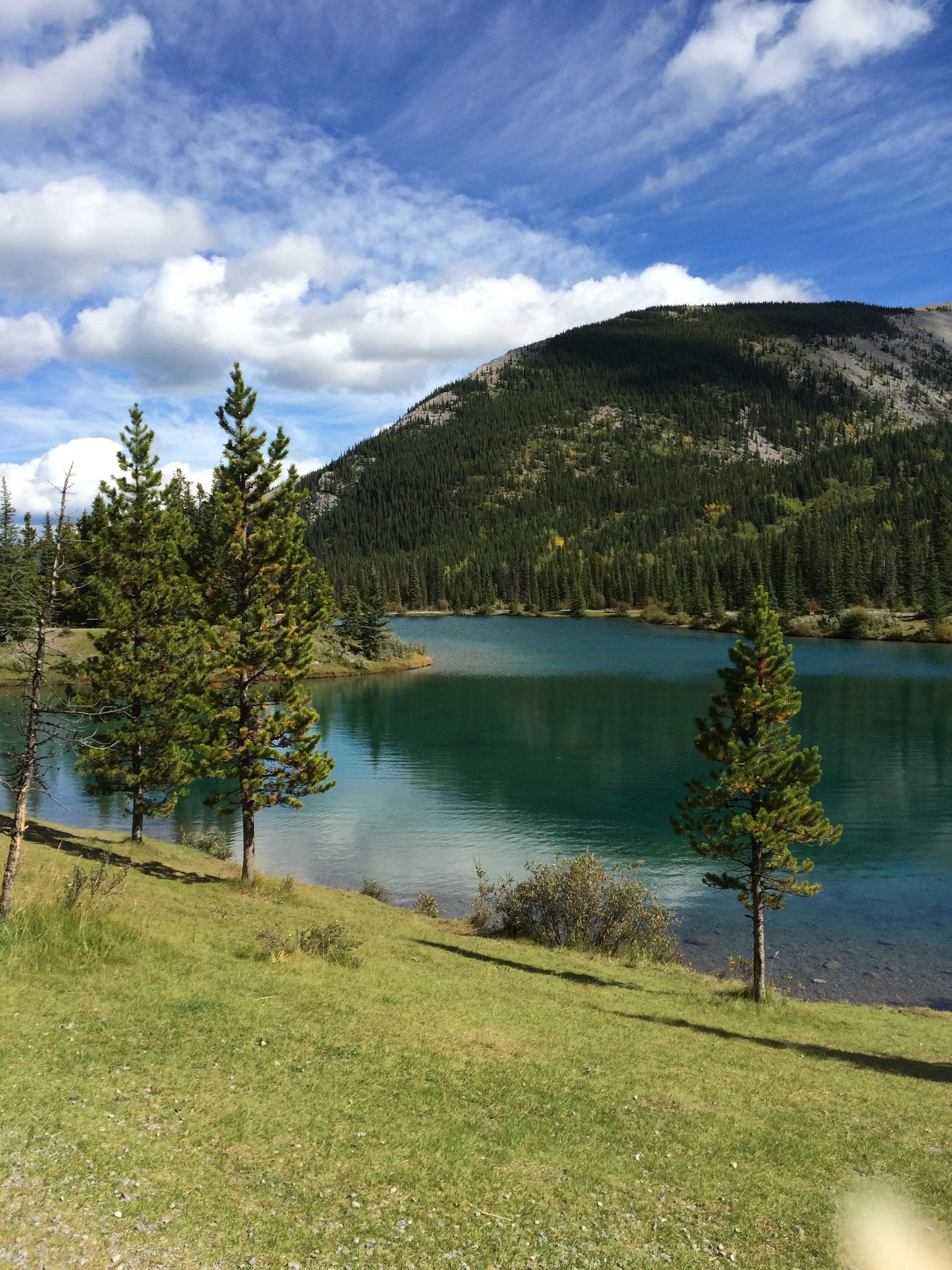2016-09-19 001 007.JPG