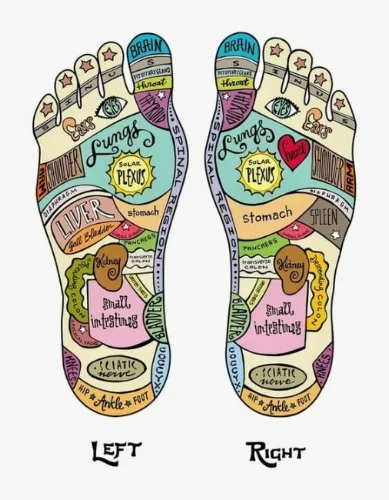 reflex.feet.jpg