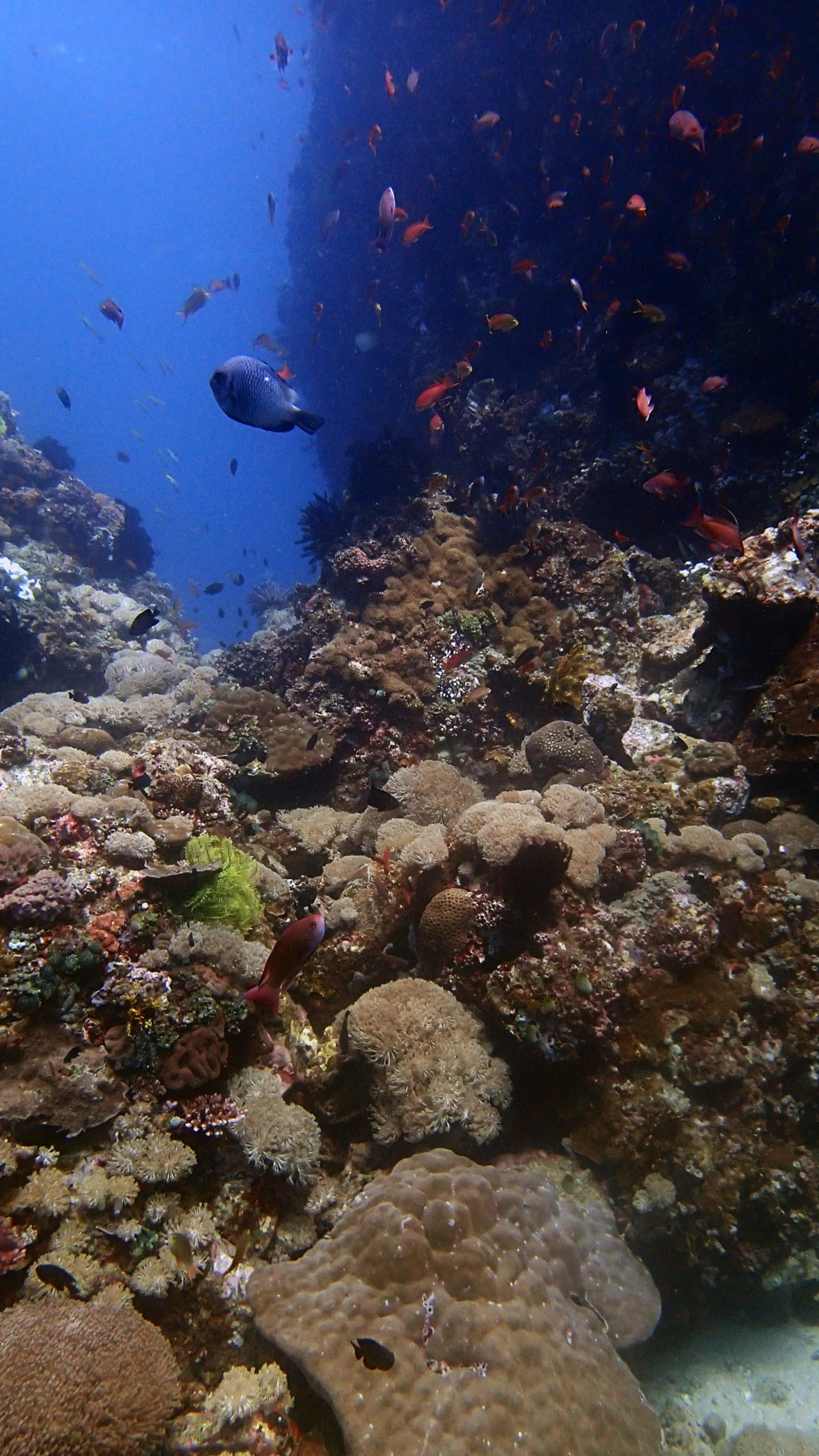 PA011213.JPG