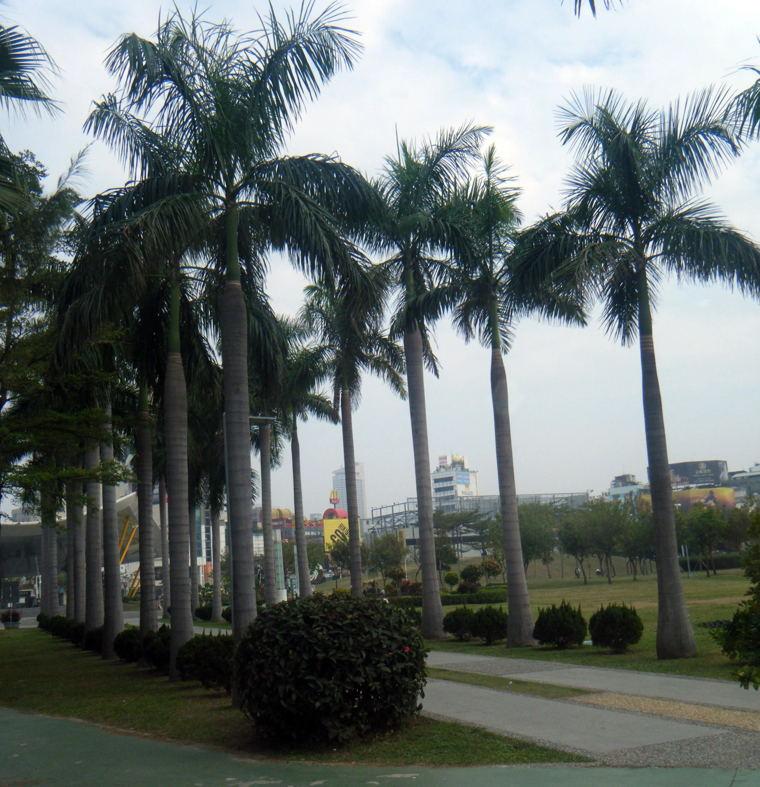 central park Kaohsiung.jpg