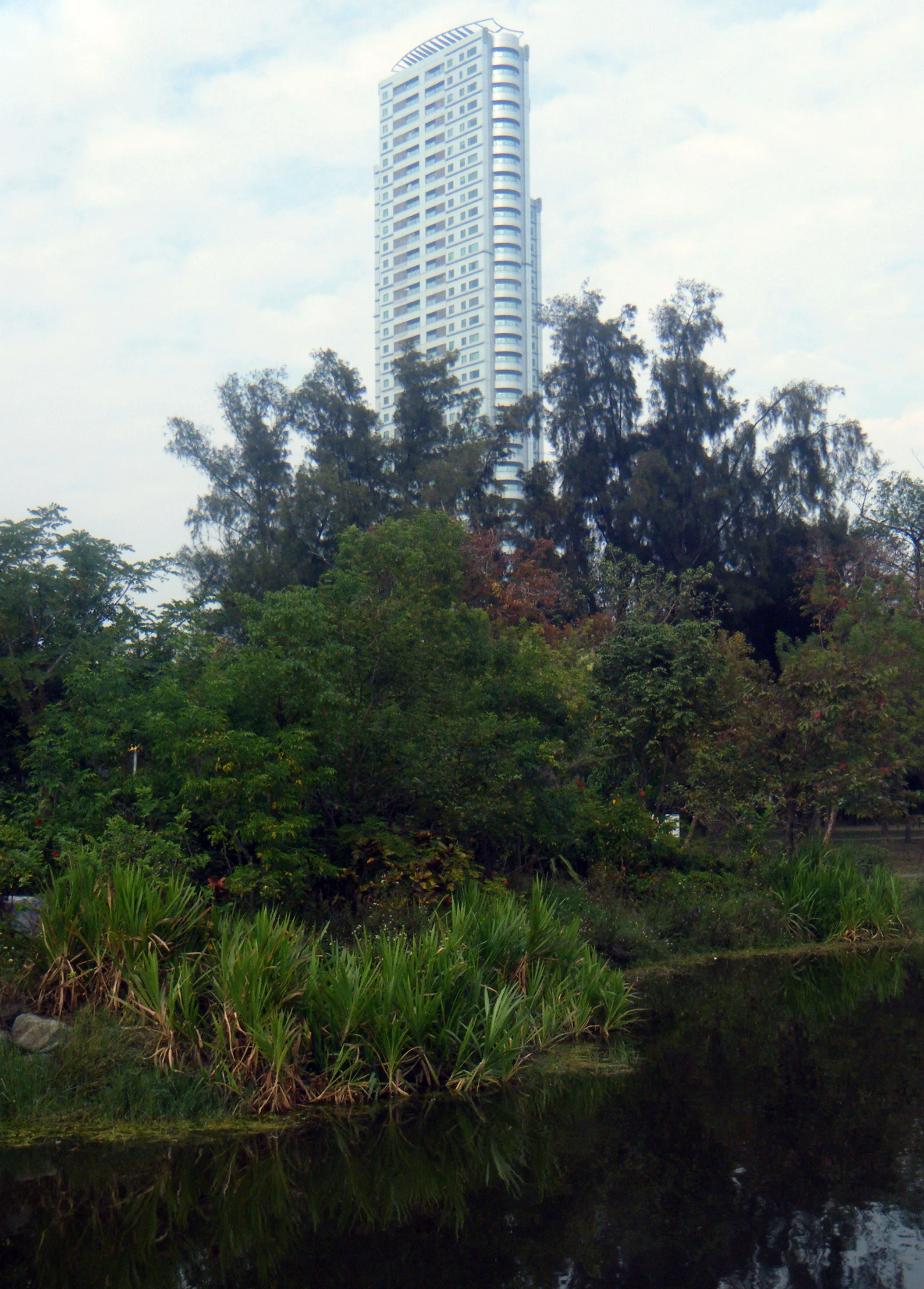 skyscraper and wetlands.jpg