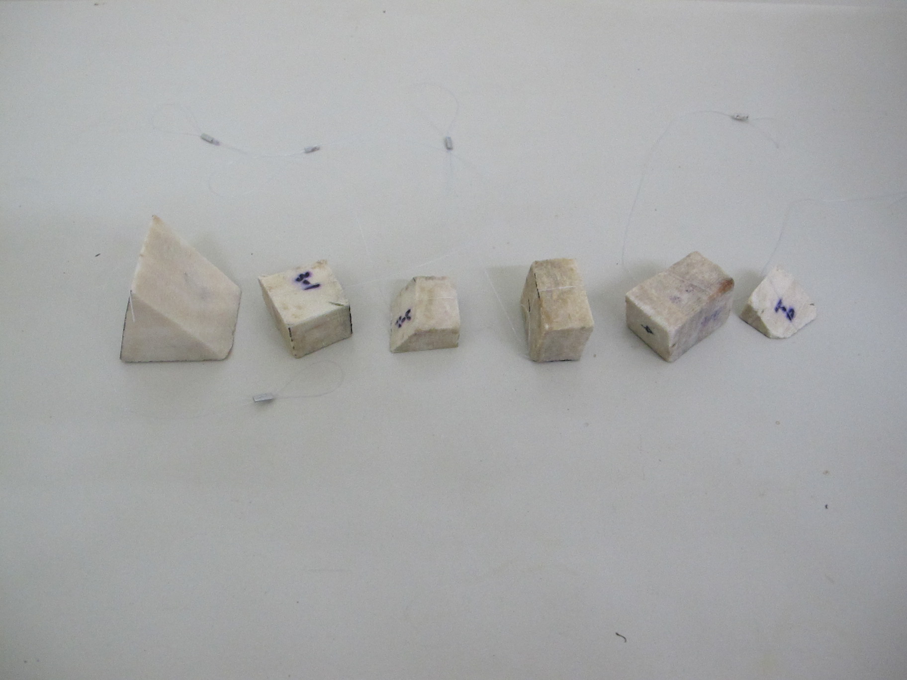 Blocks for coral surface area standard curve generation