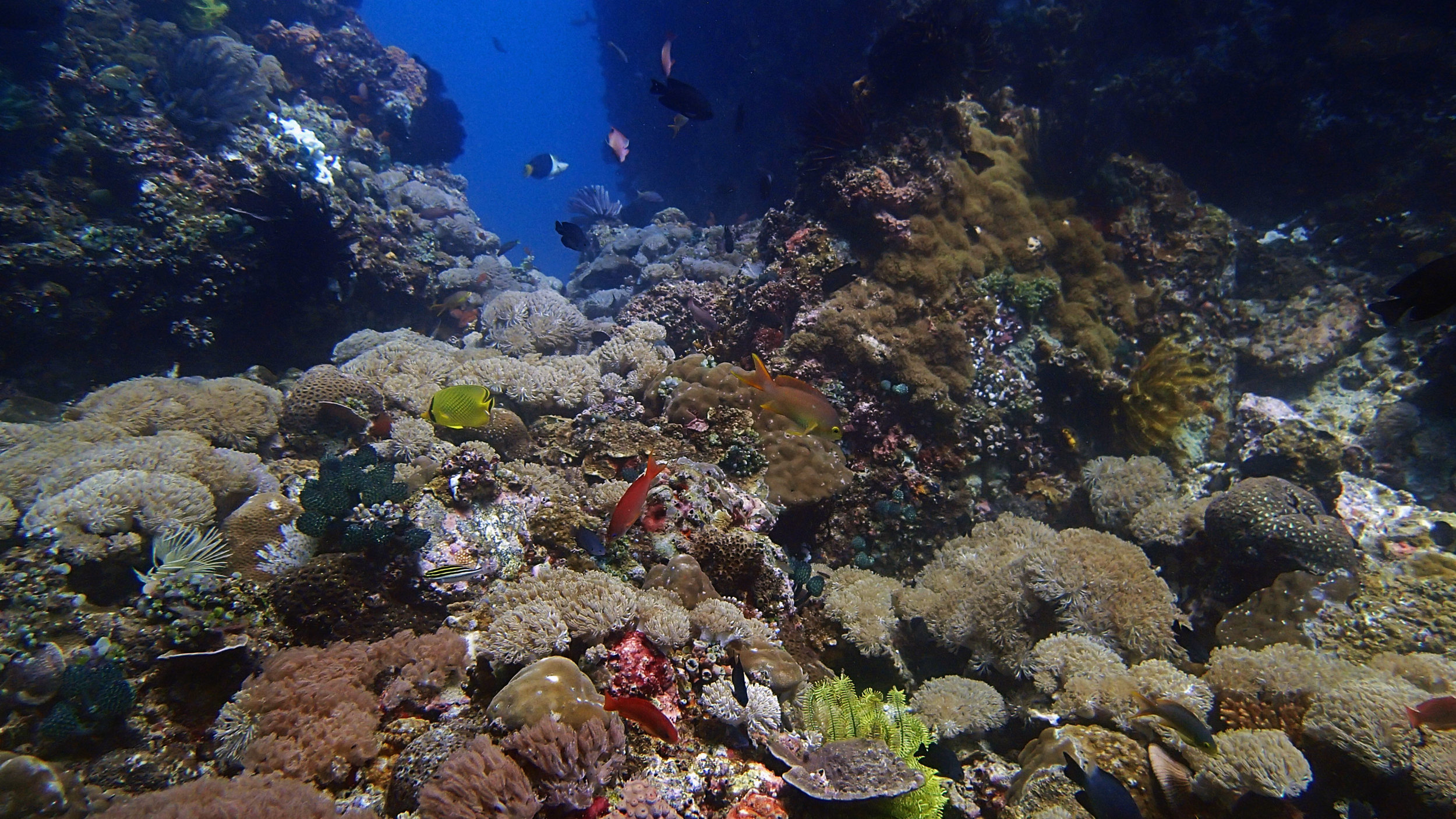 Philippines (ongoing)