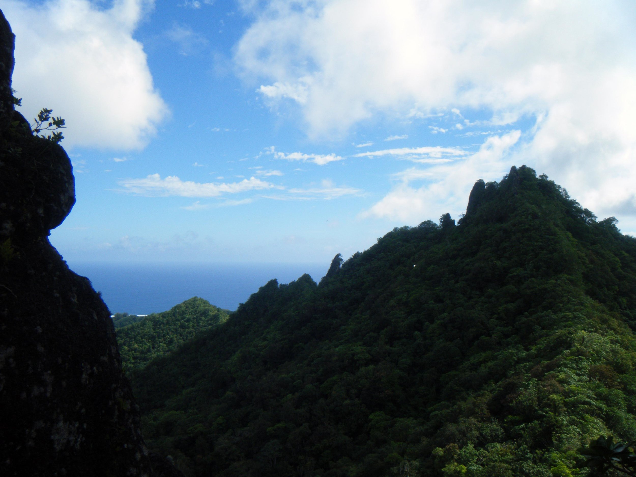 Rarotongan mountains.jpg