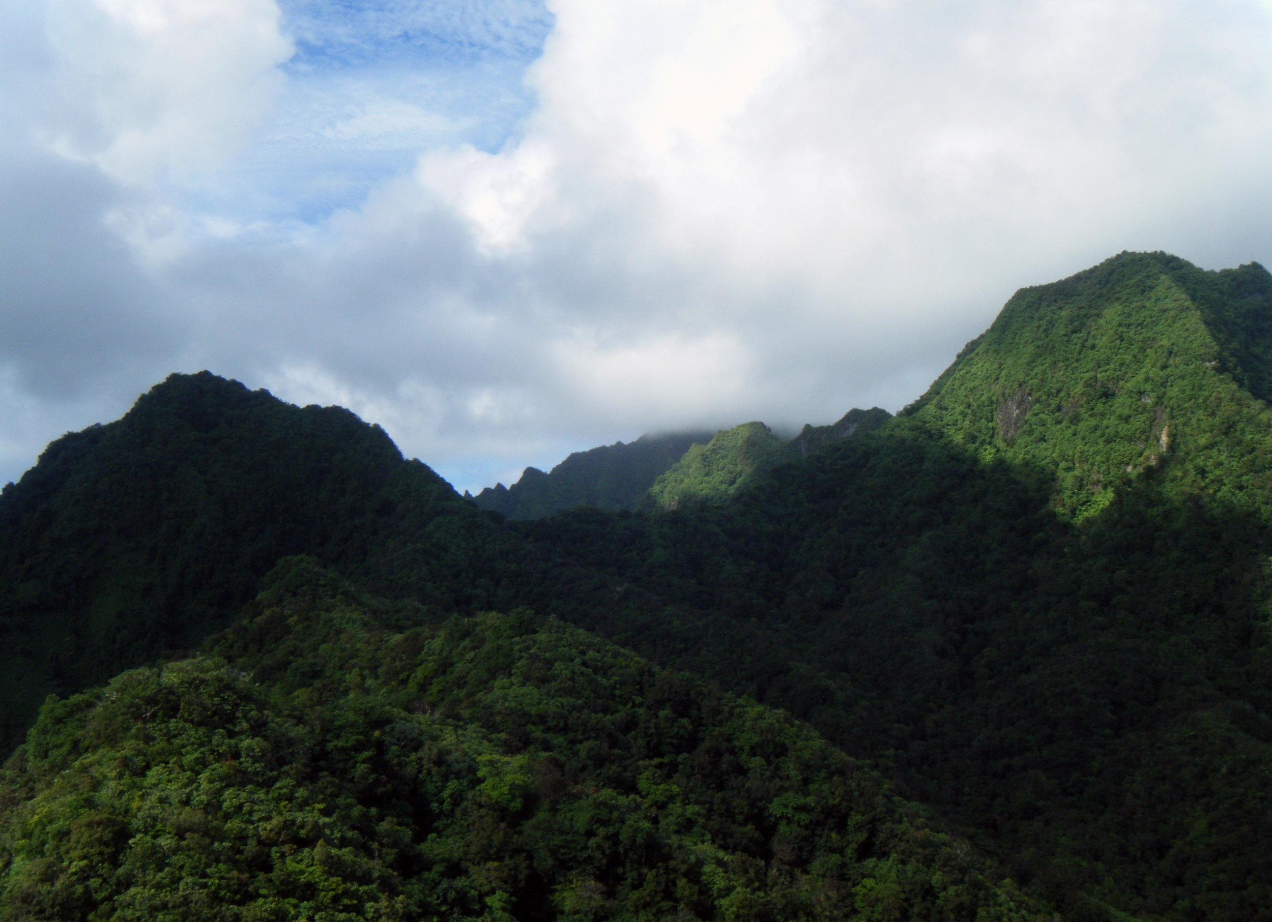 rugged Rarotonga.jpg