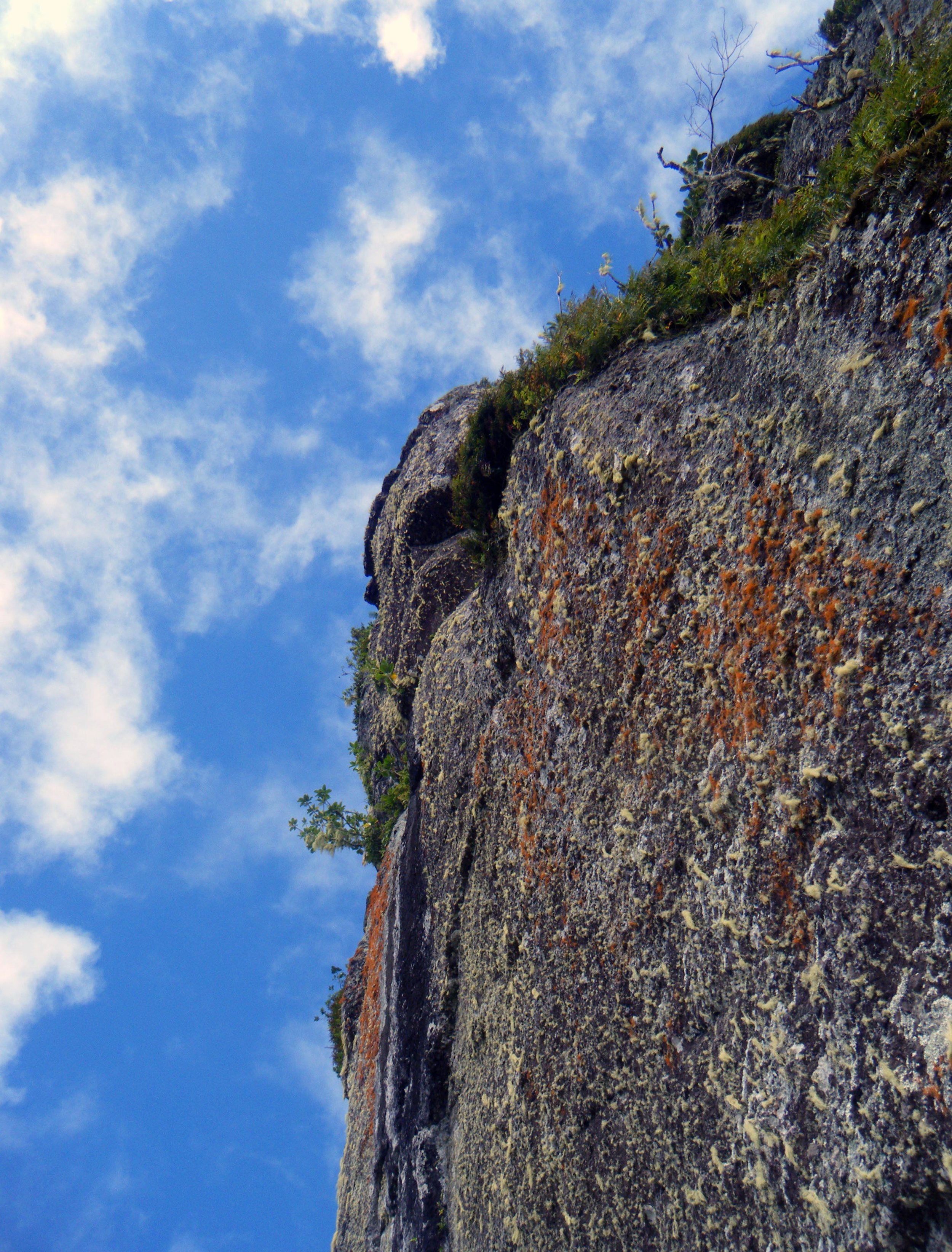 the needle cross island hike.jpg