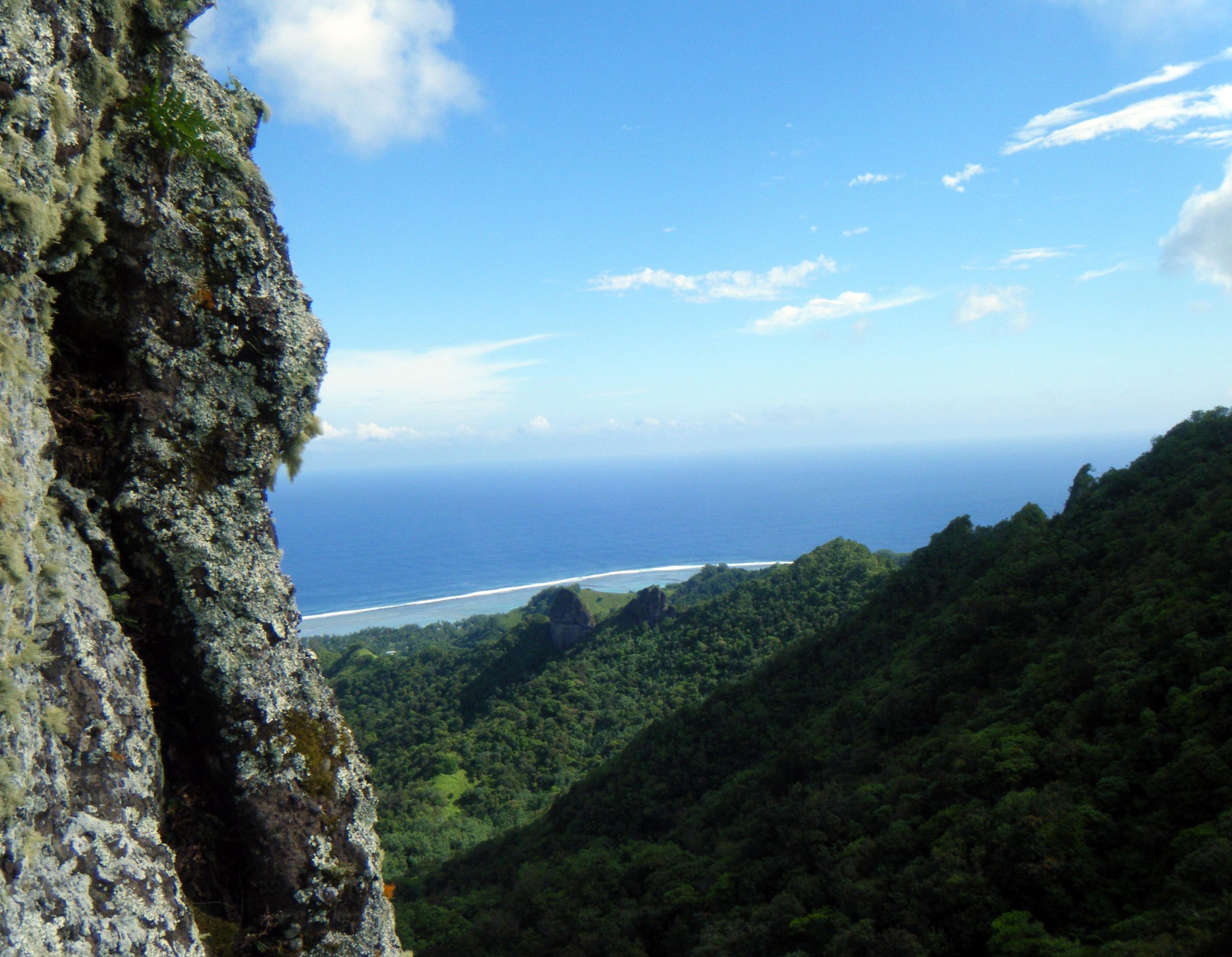 view from 350 meters.jpg