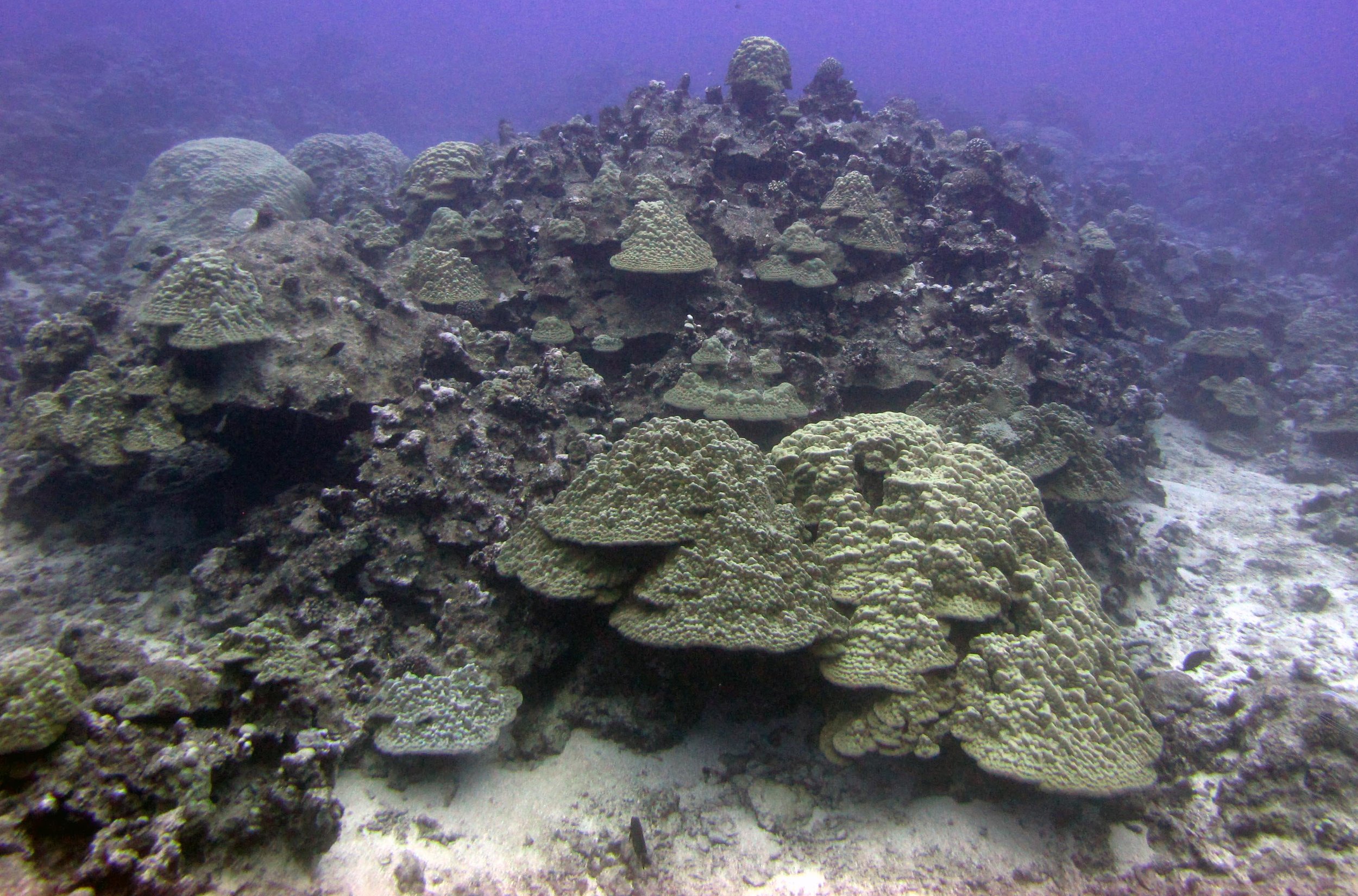 CIRR12.jpg