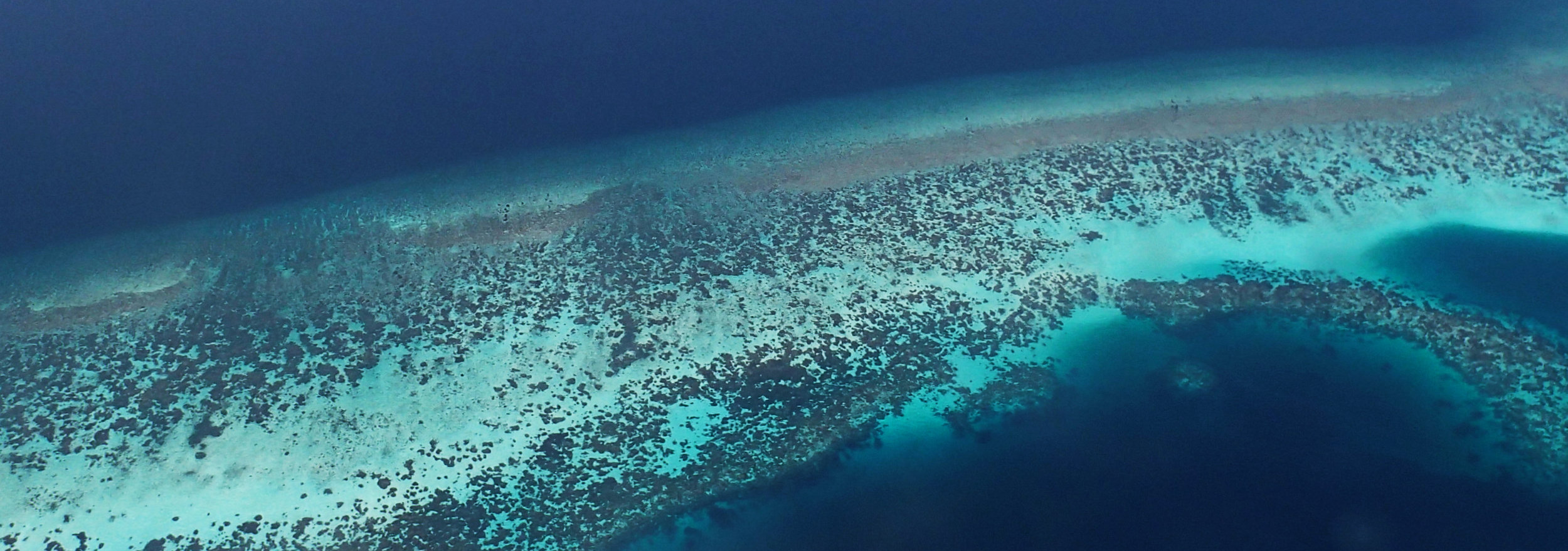 Maldivian reefs.jpg