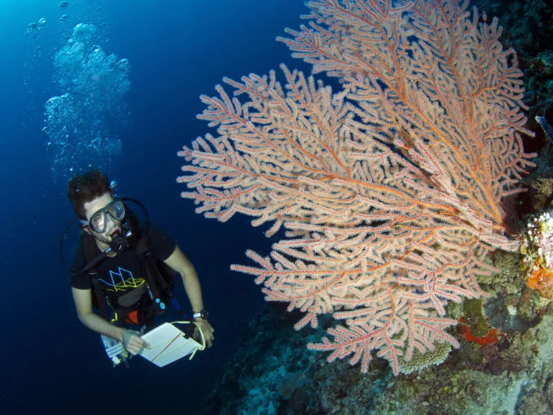 underwater douche hair