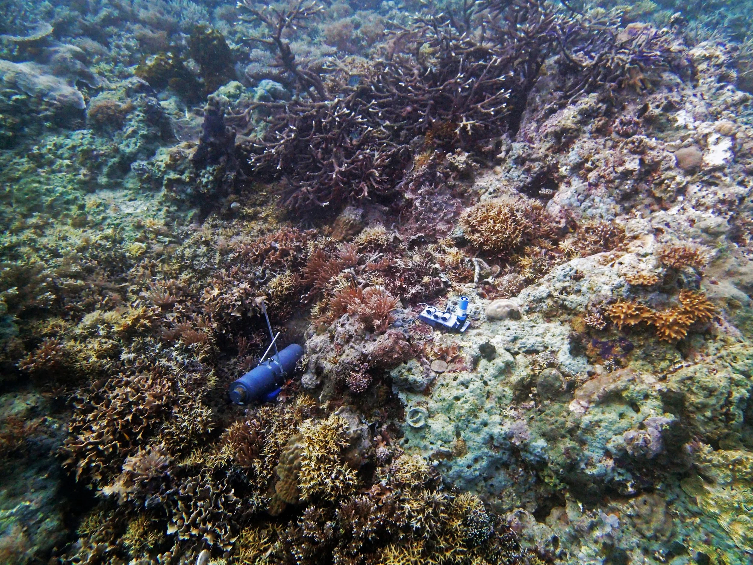 meters in Palau 2.jpg