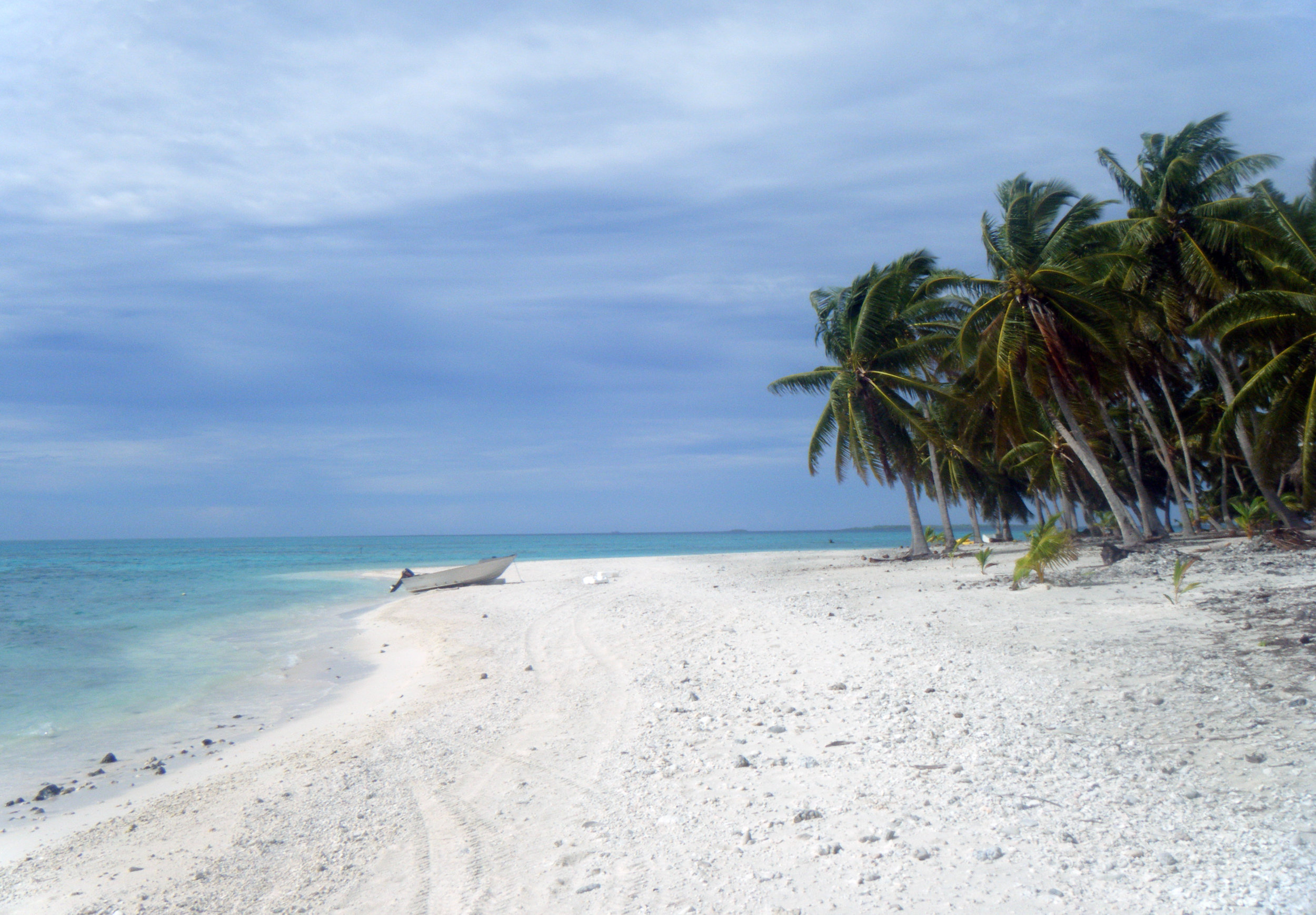 amazing white sand beach.jpg