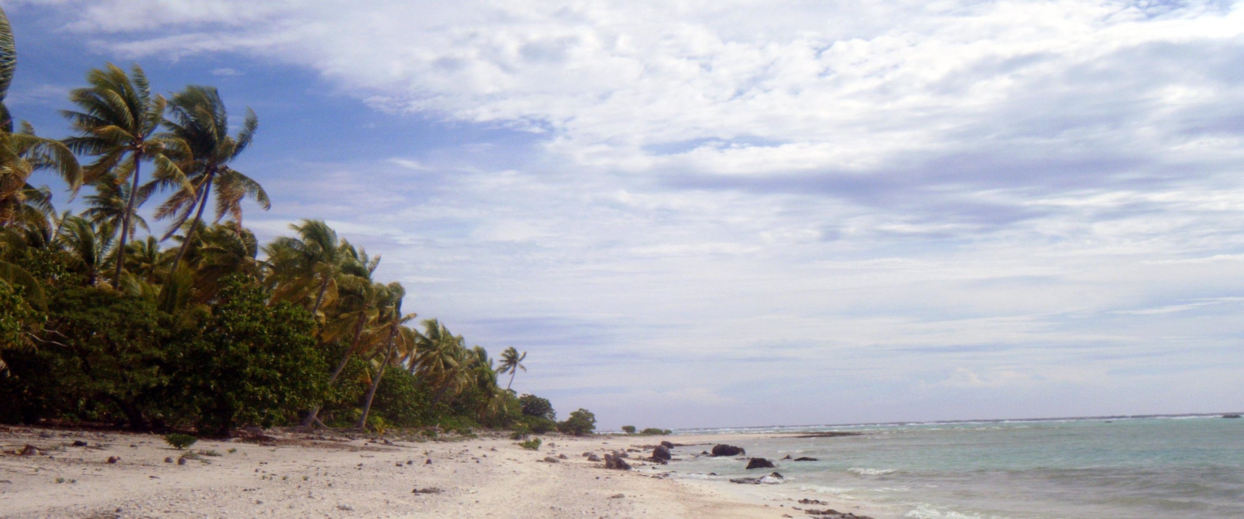 desolte beaches of Palmerston.jpg