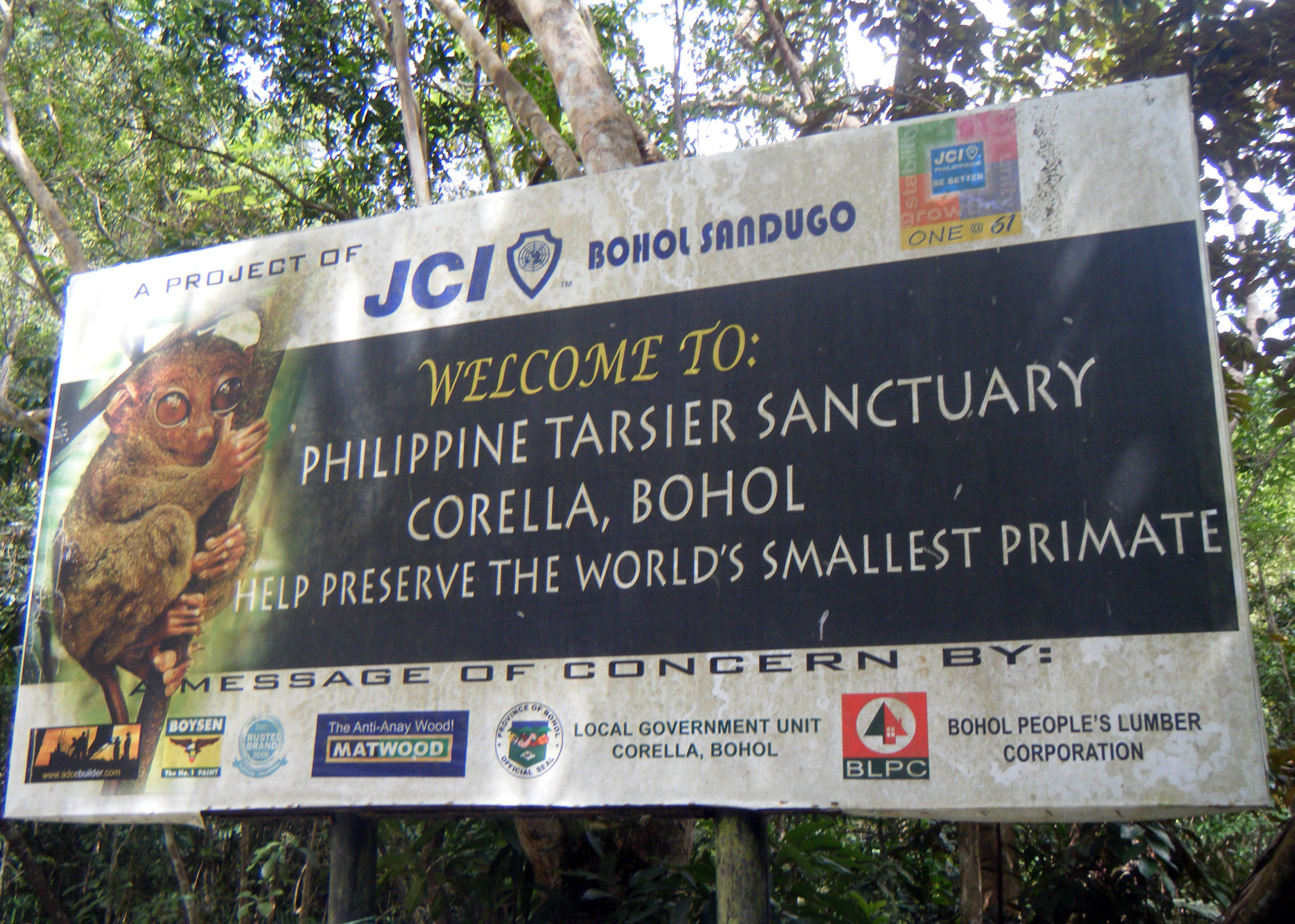 Philippine tarsier sanctuary.jpg