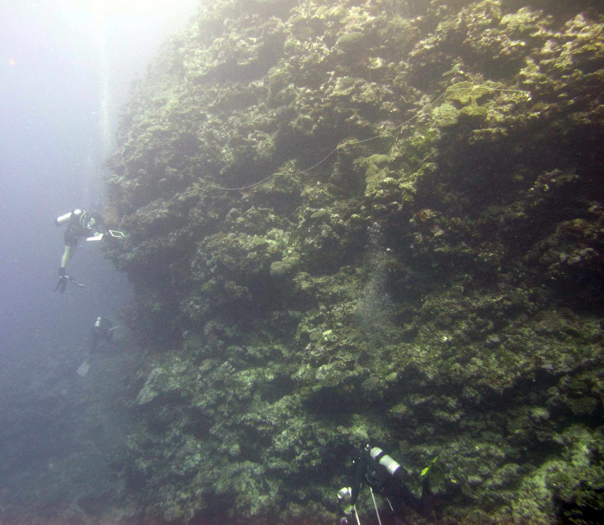 divers at work.jpg