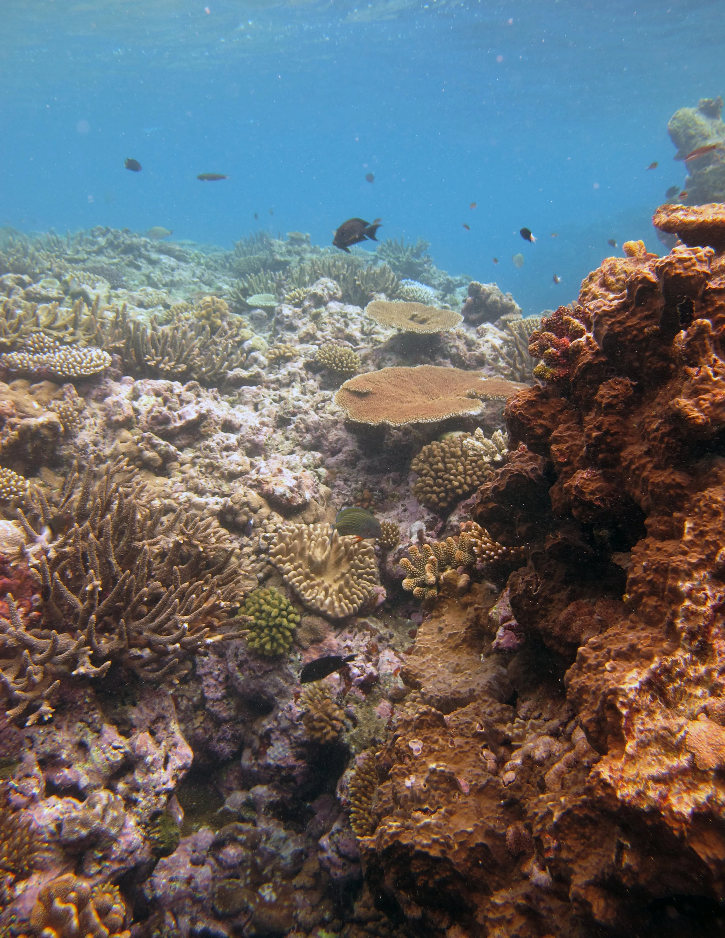 in the shallows.jpg