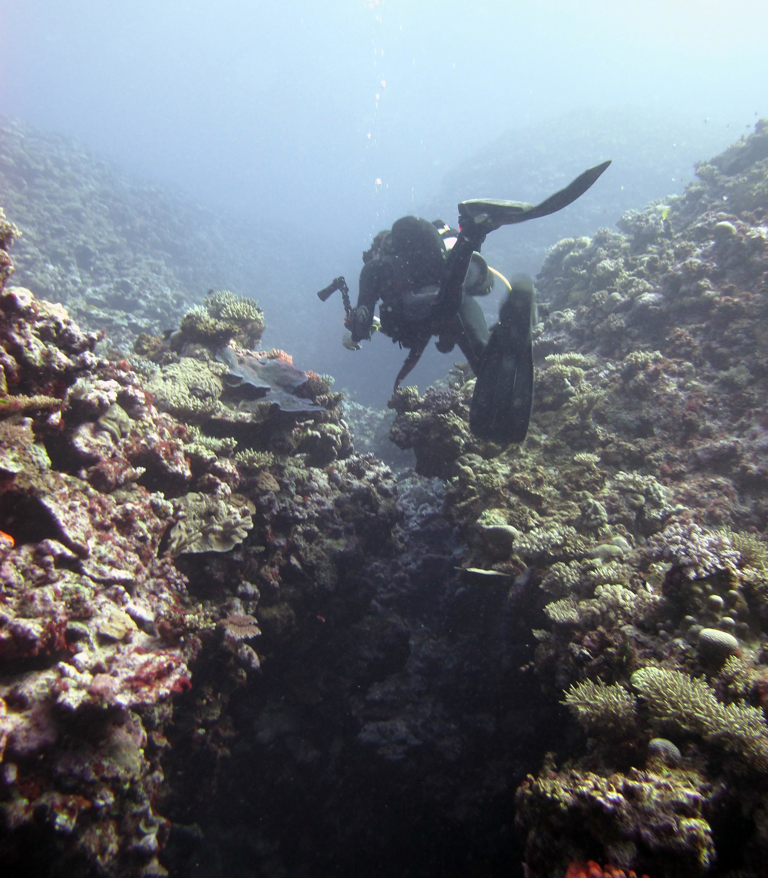 Joao in the canyon.jpg