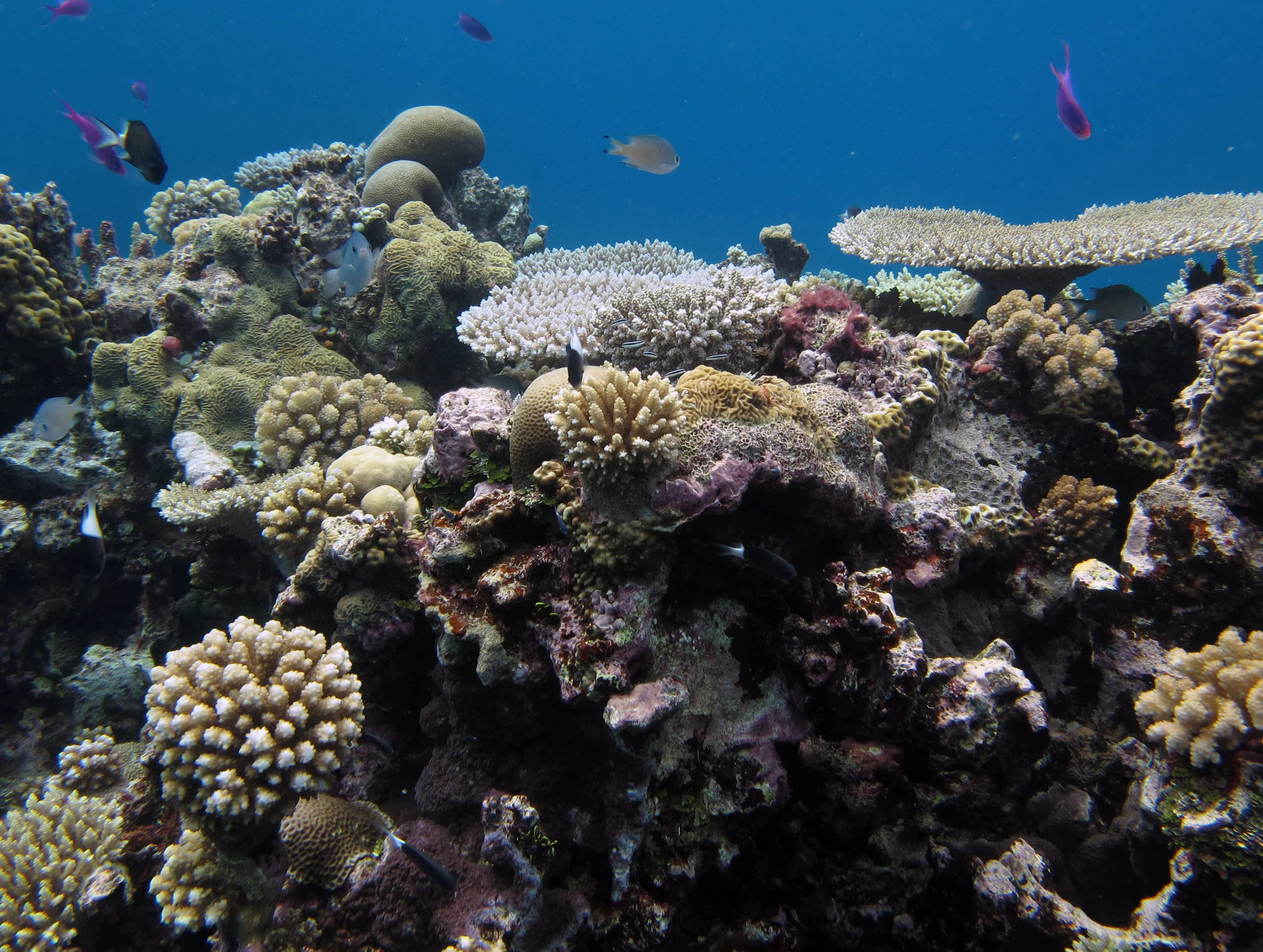 crystal clear water.jpg