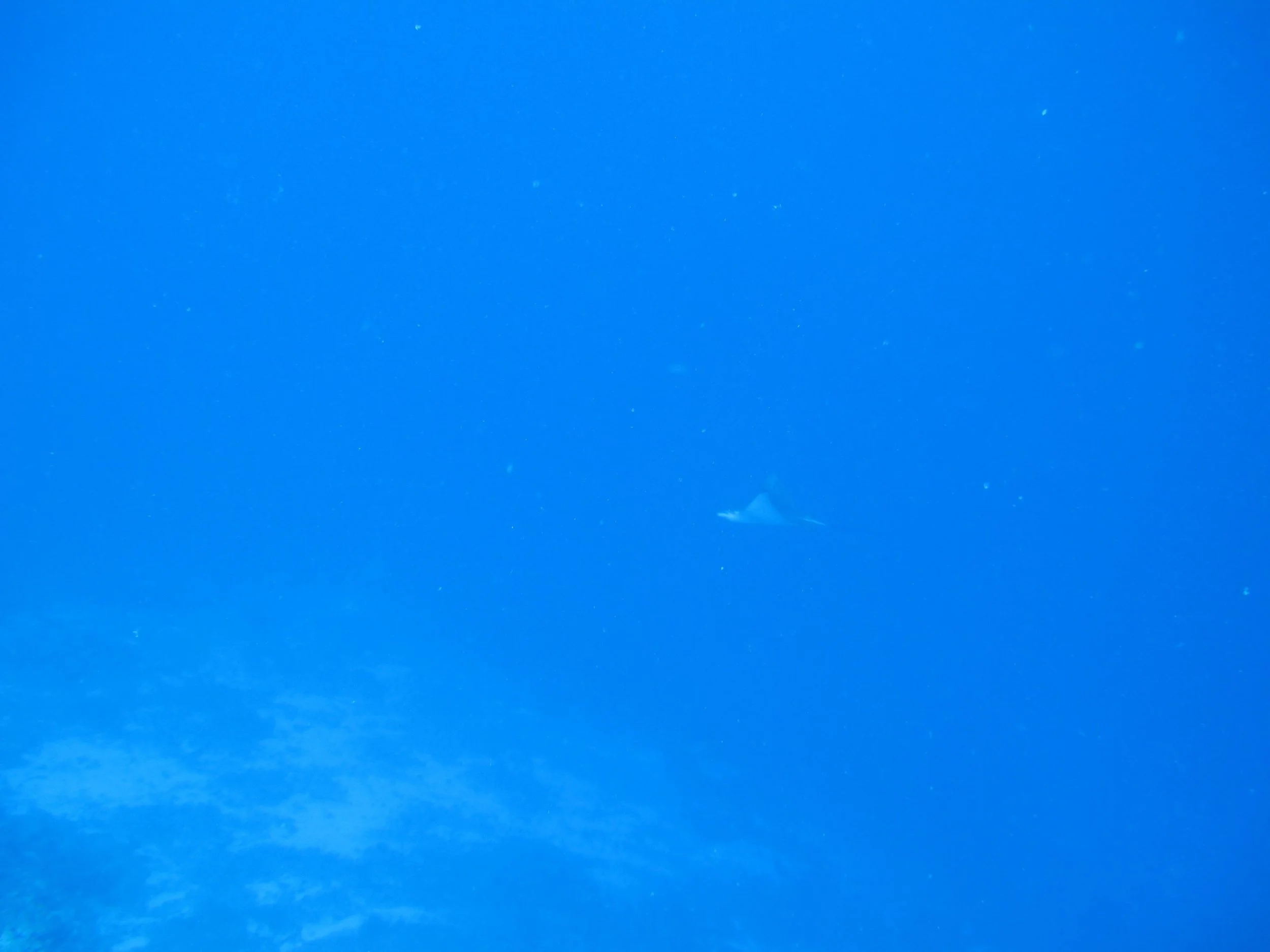 ray in the distance.jpg