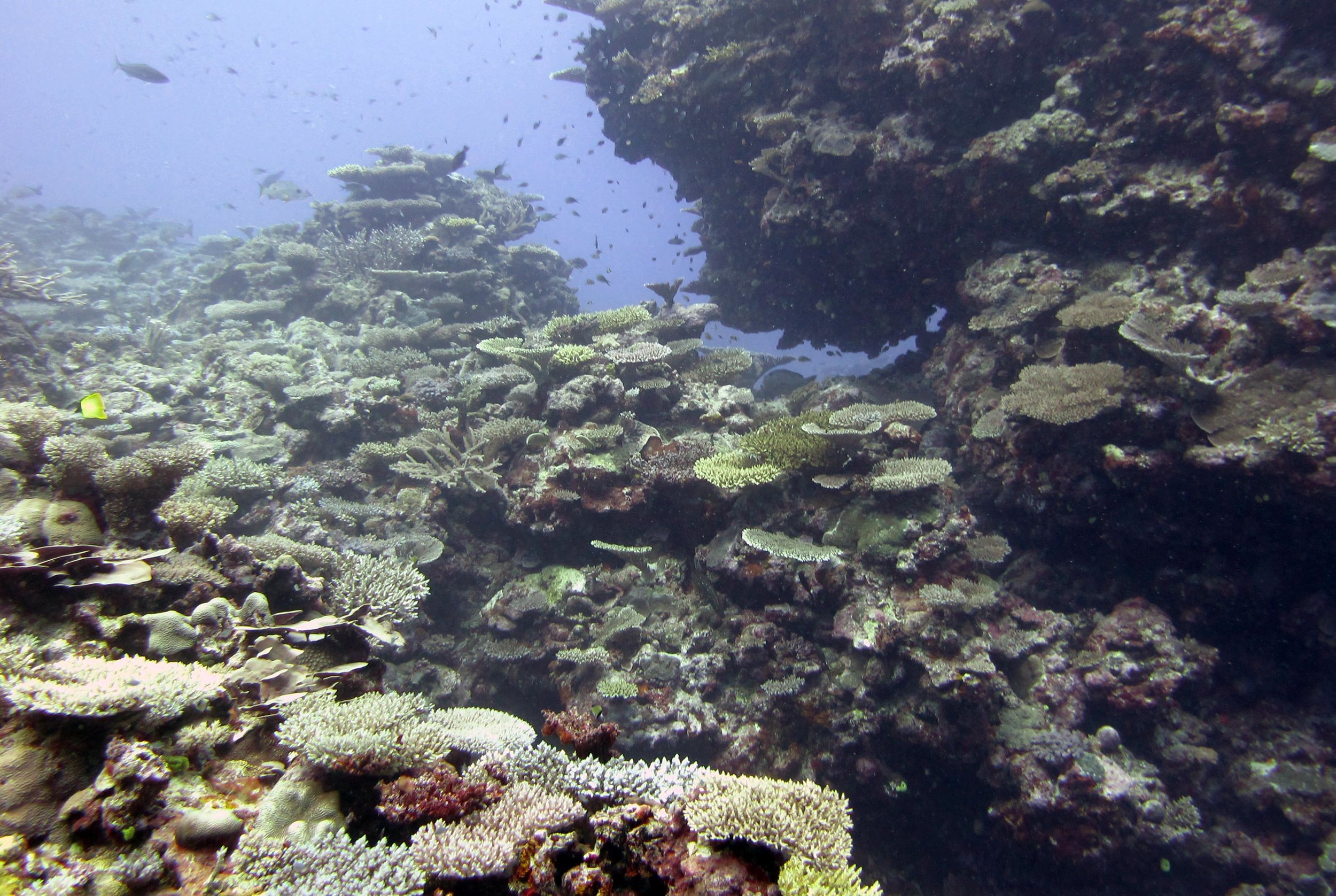 first dive at Cicia.jpg