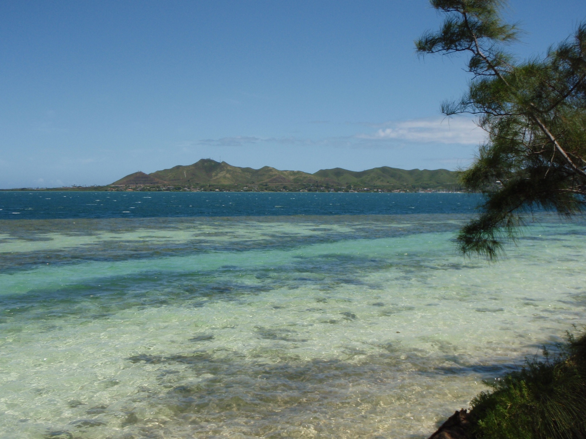 my field site off Coconut Island