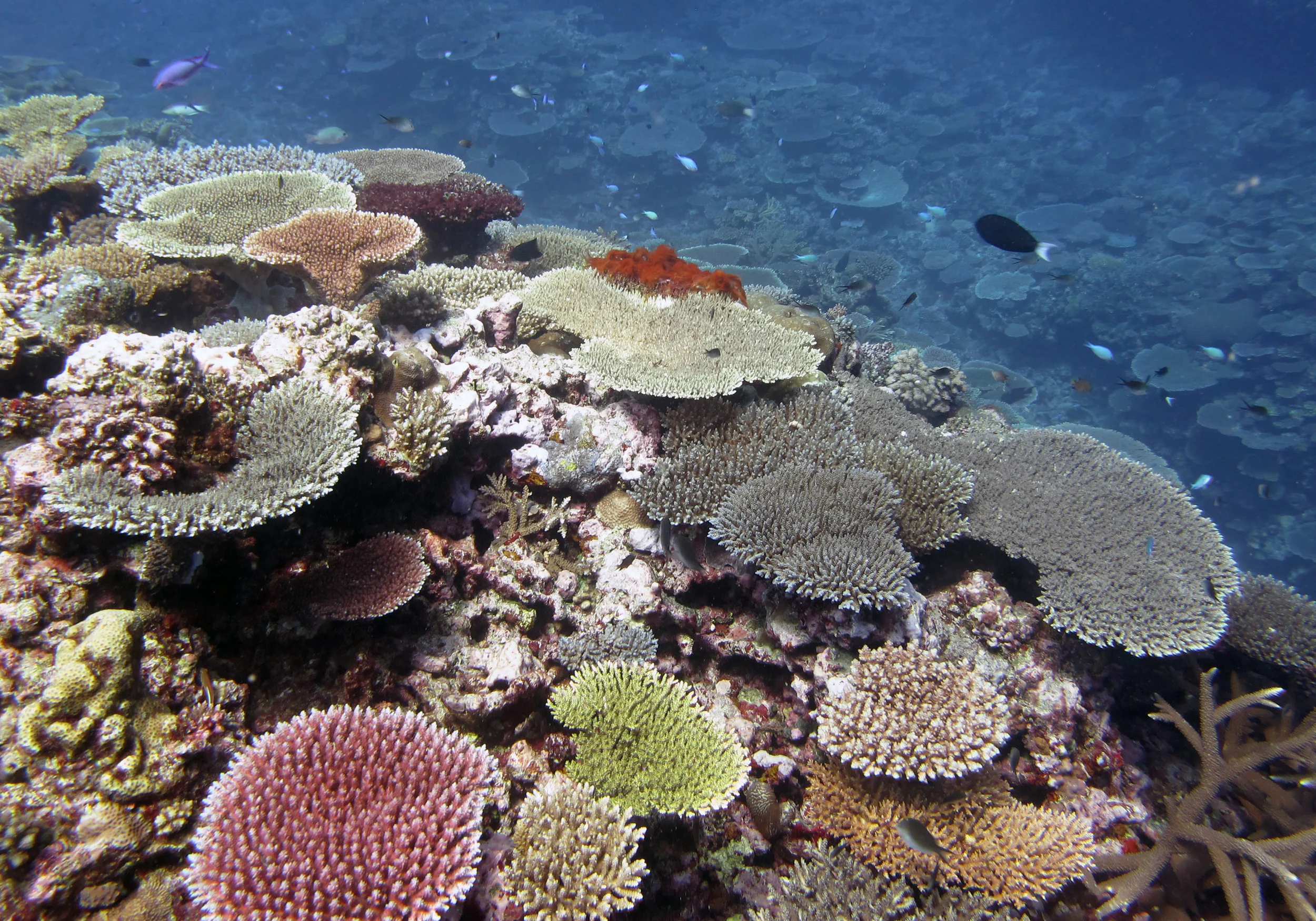 10 m below.jpg