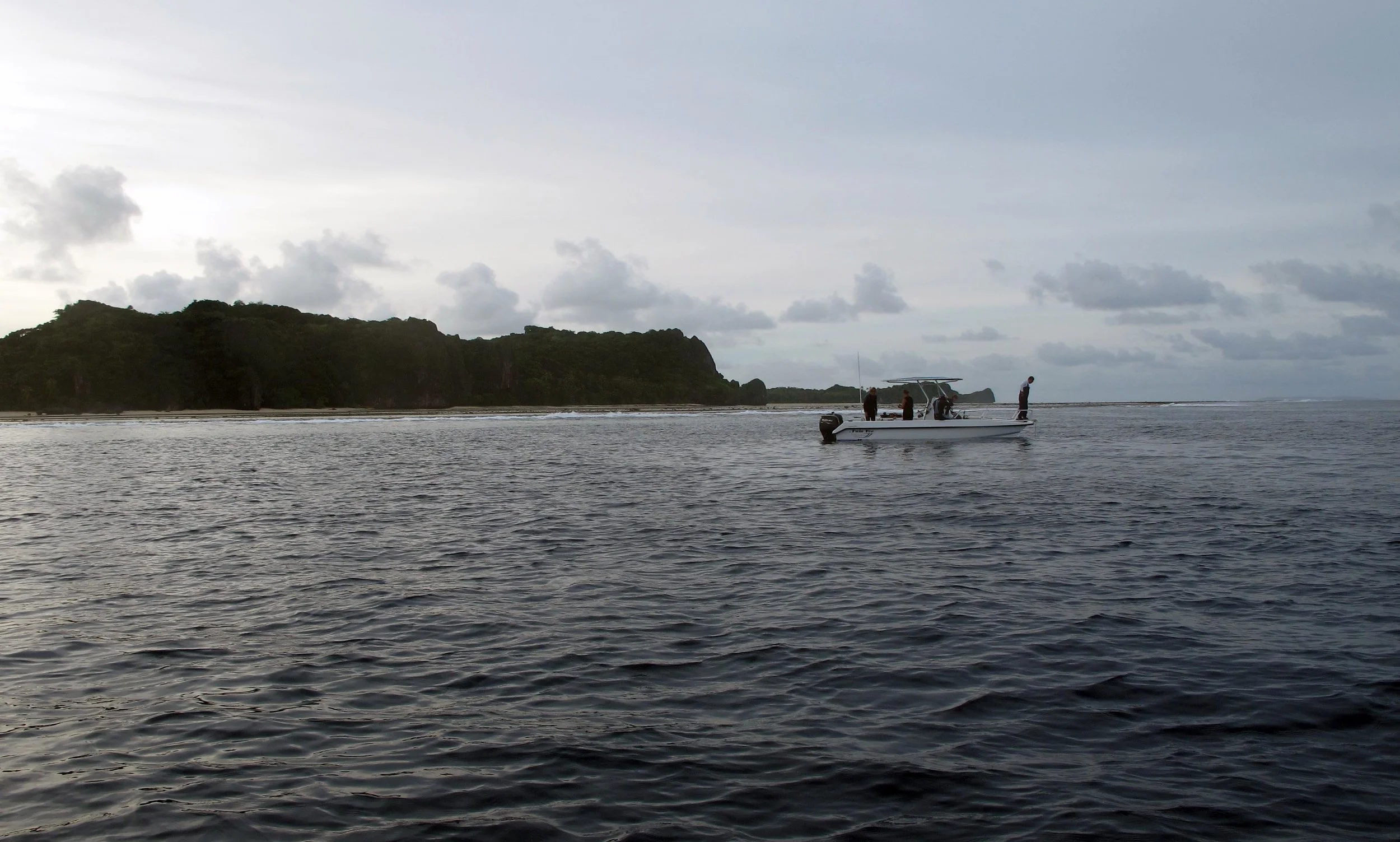 diving off Cicia