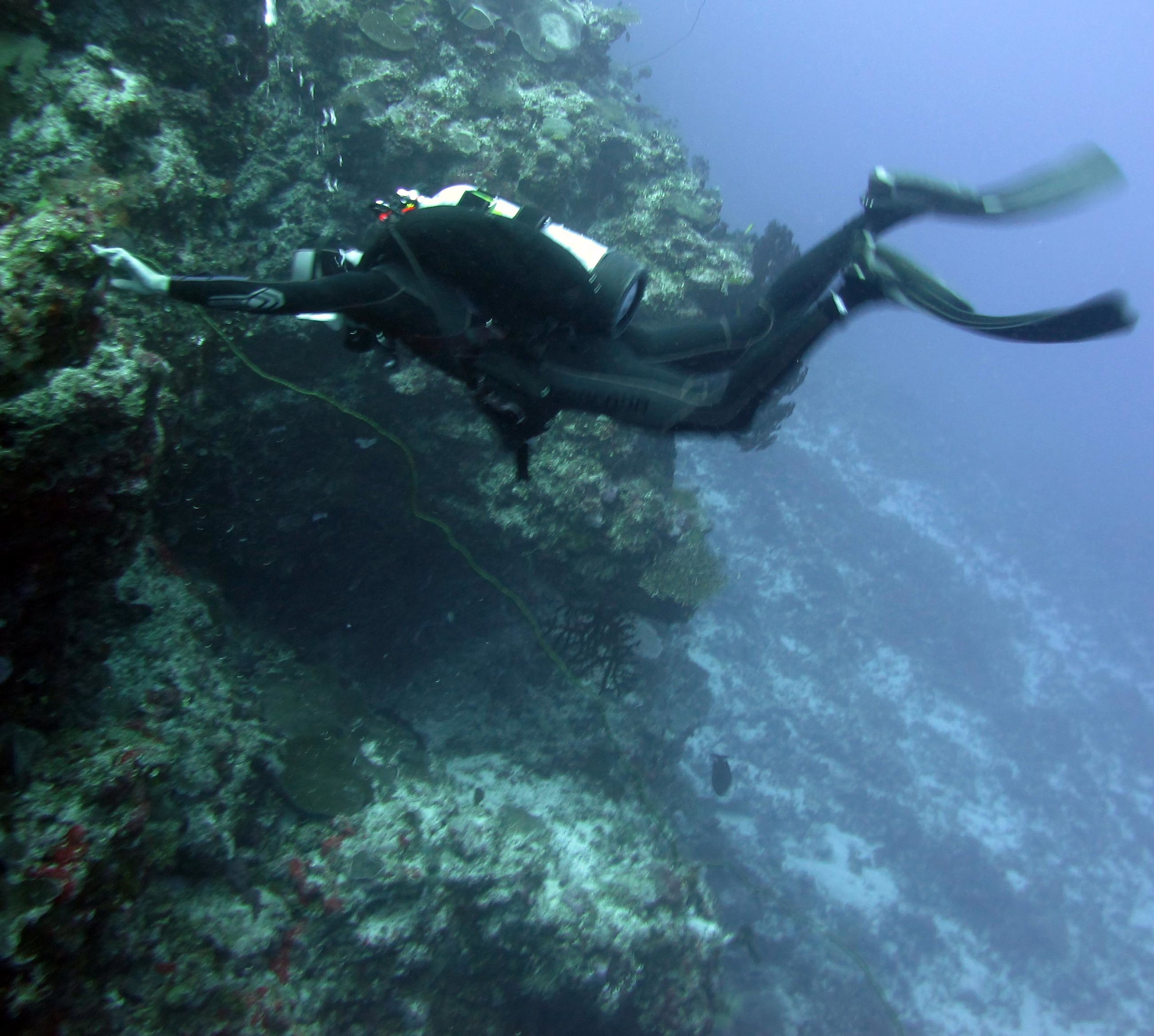 Joao and black coral.jpg