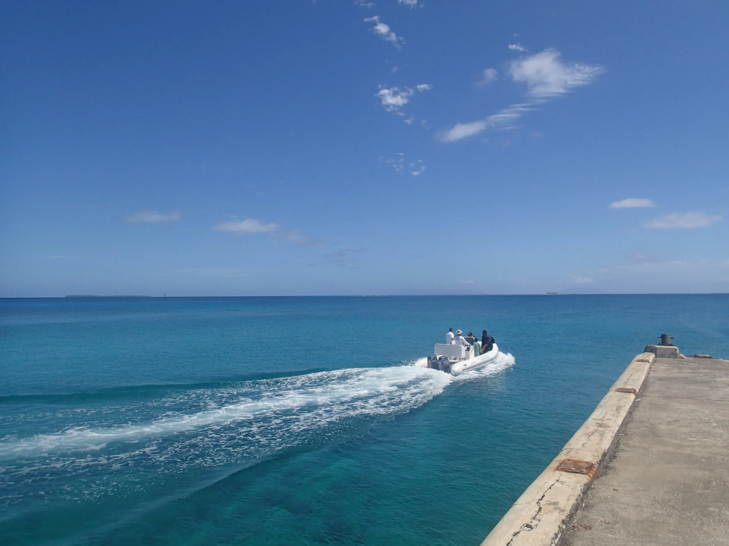 back to the shadow.JPG