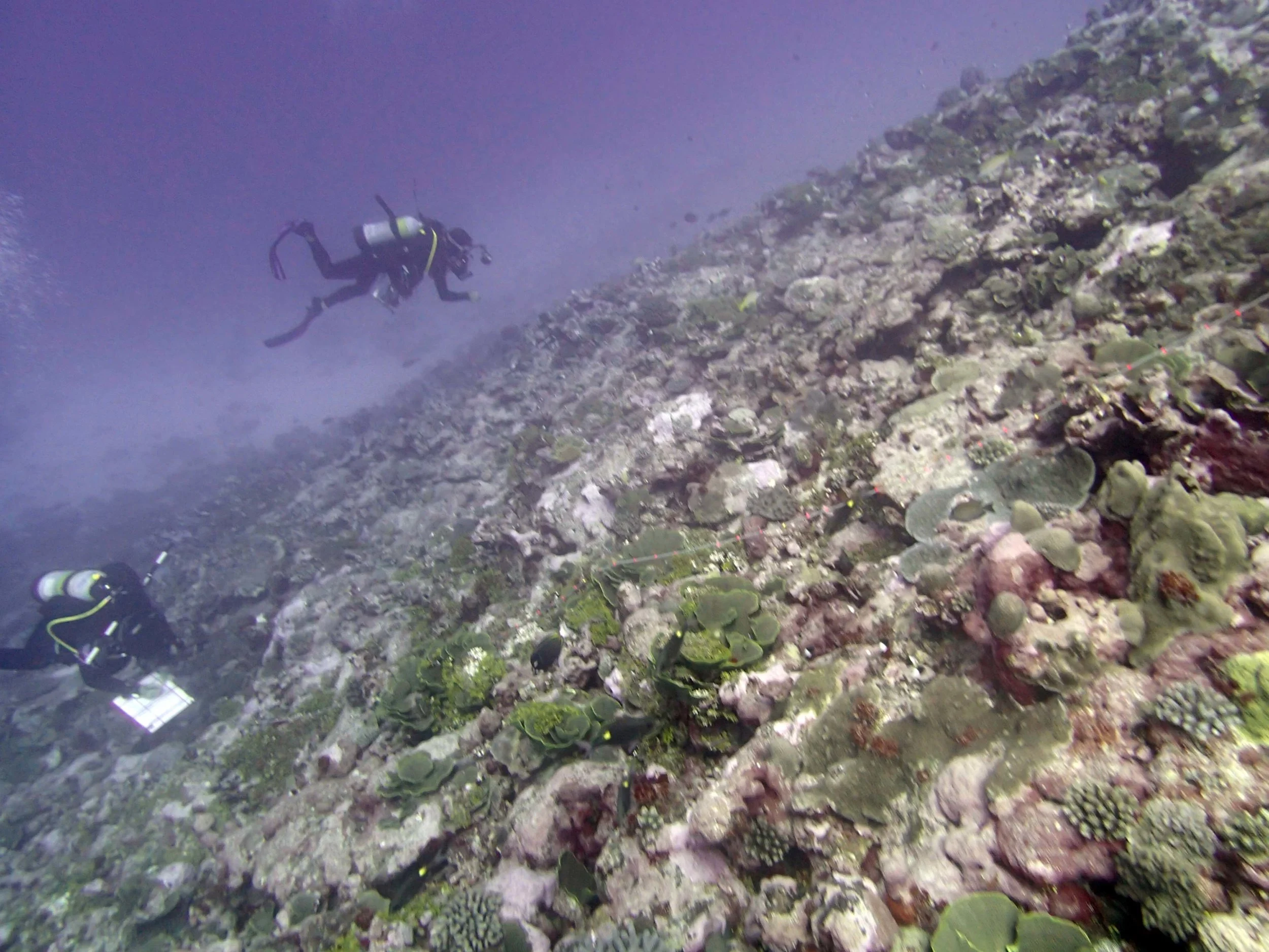 deep water.jpg