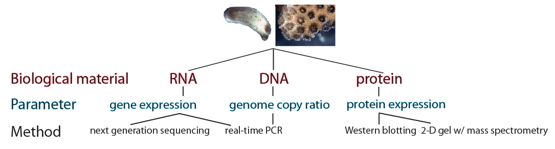 PDpCO2 methods.png