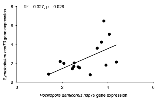 host vs sym hsp70 exp.png