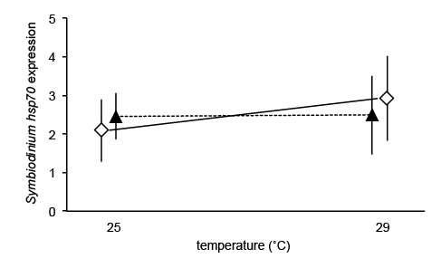 Sym hsp70 expression.png