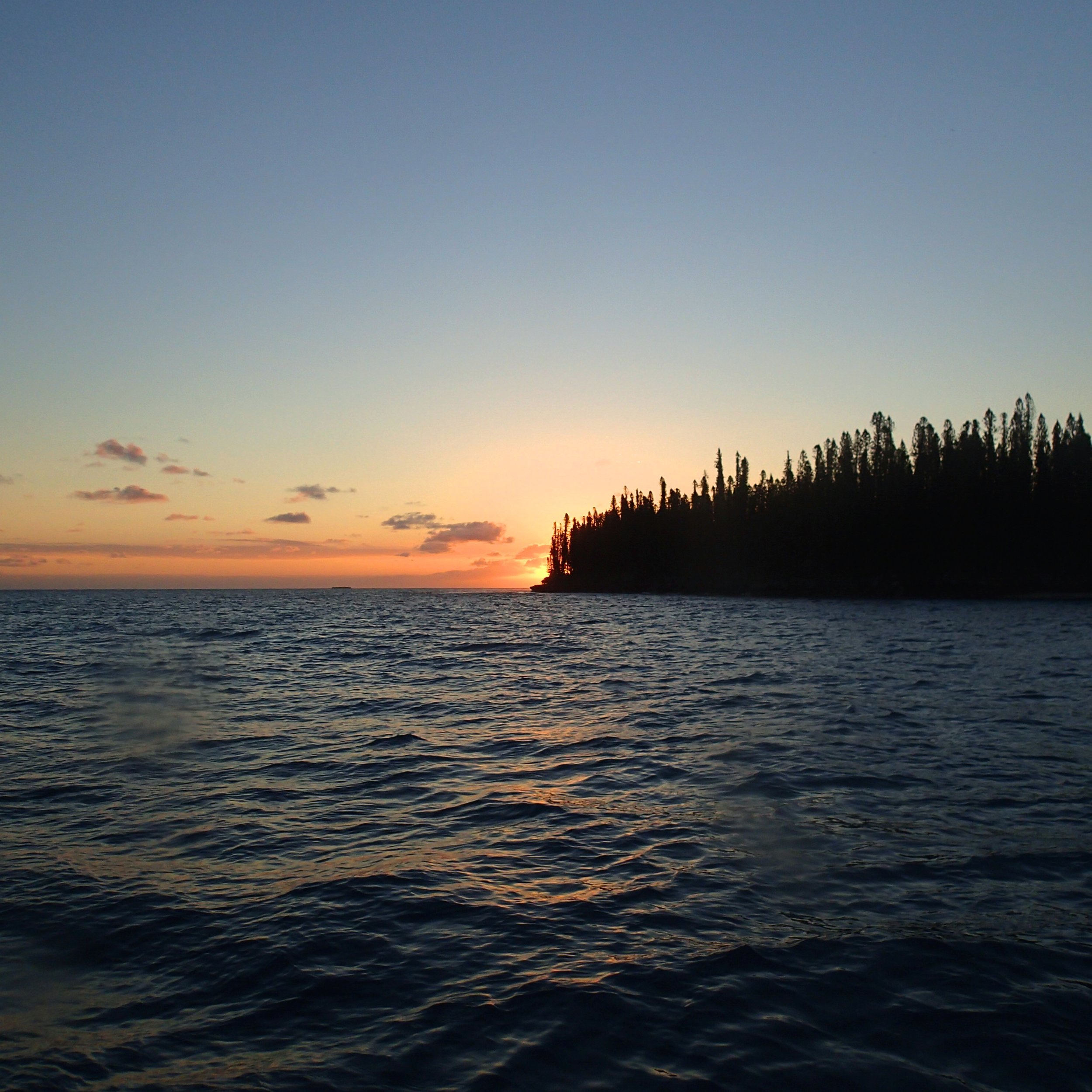 above first night dive site.jpg