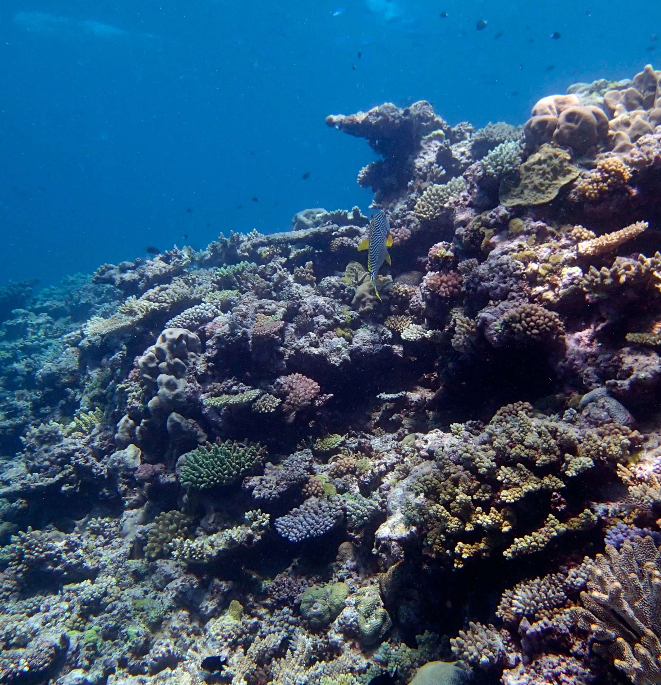 shallows of NCCR34.jpg