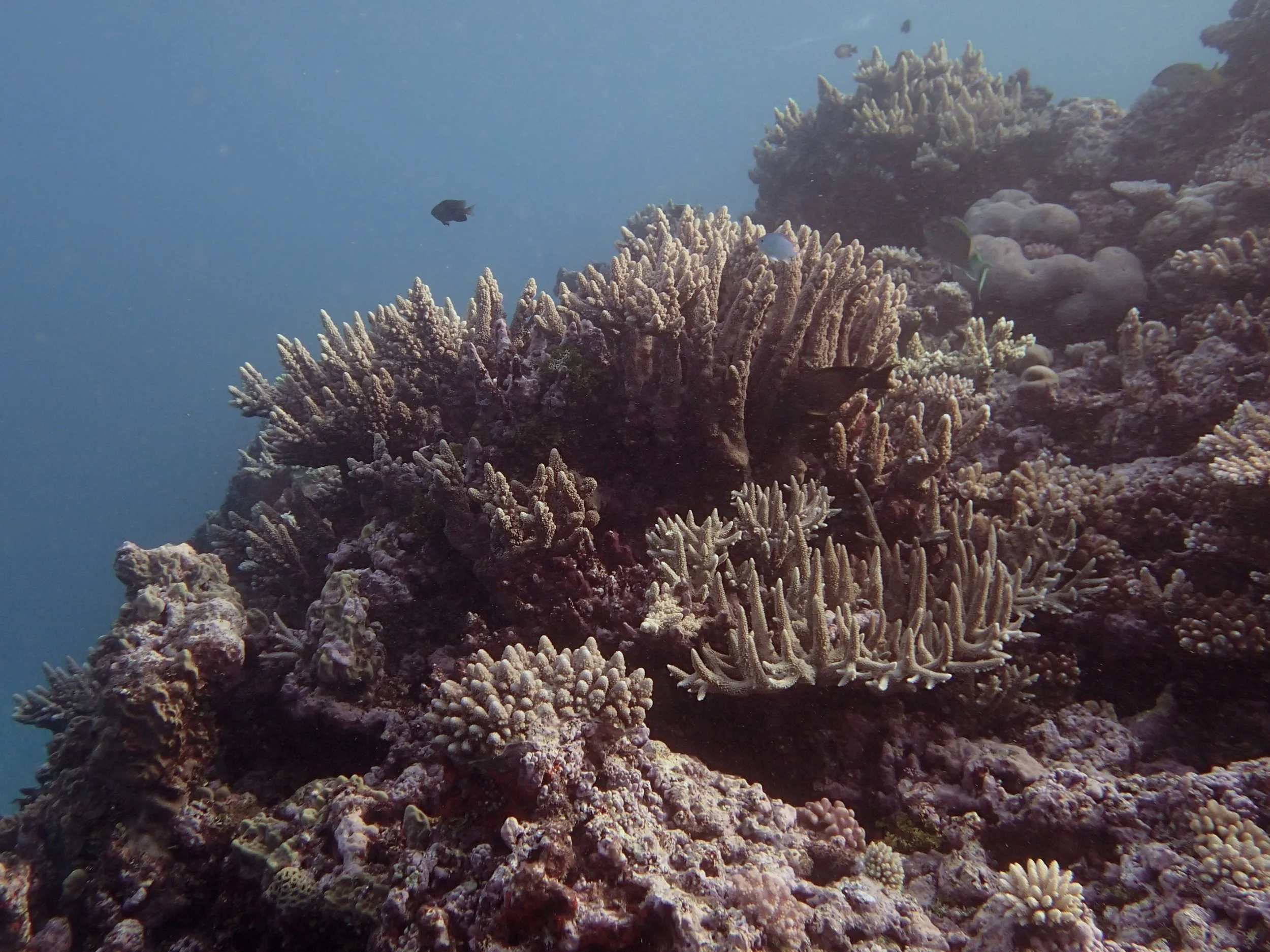 NCCR35 shallows.jpg