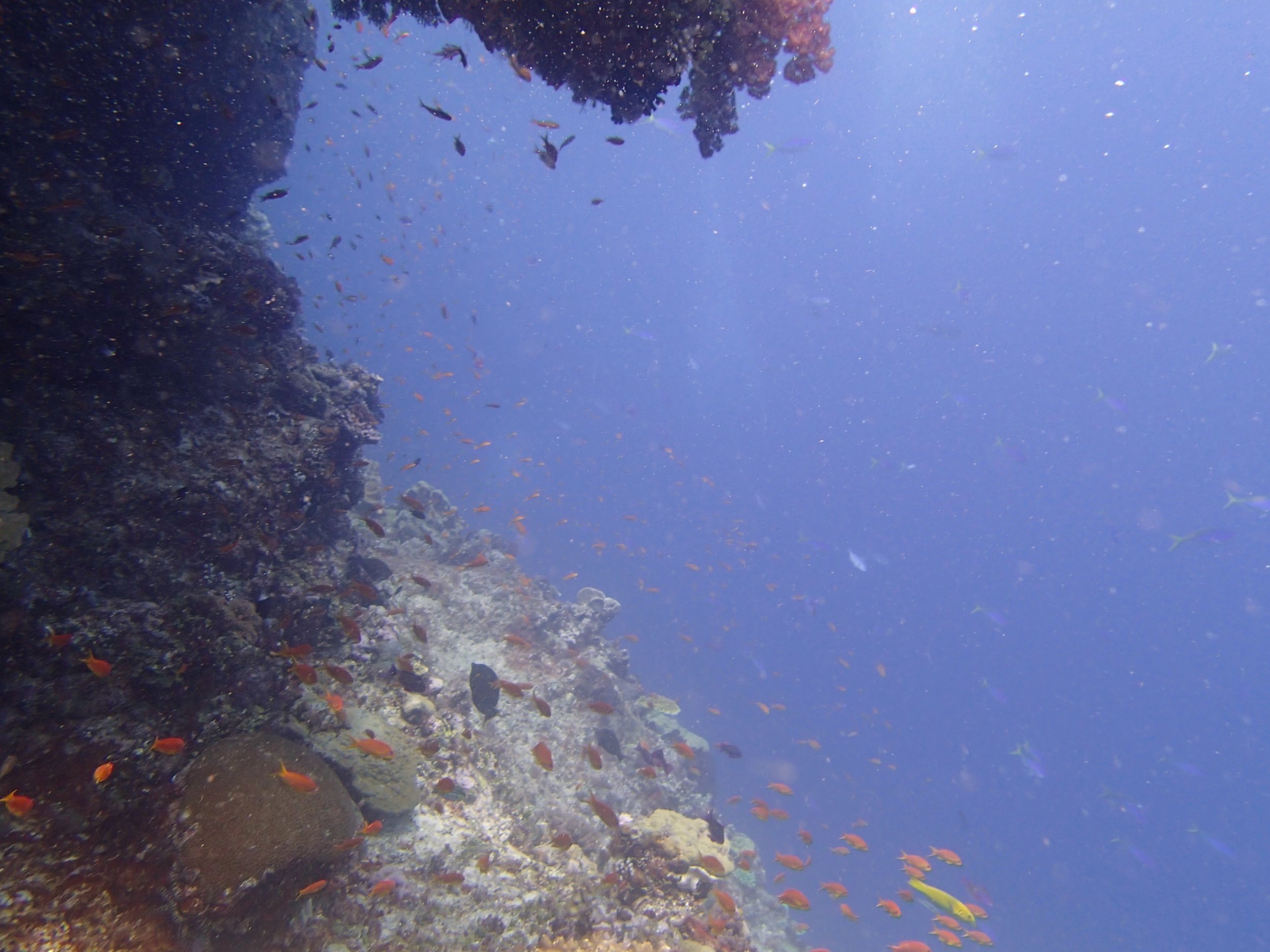view from the cave.jpg