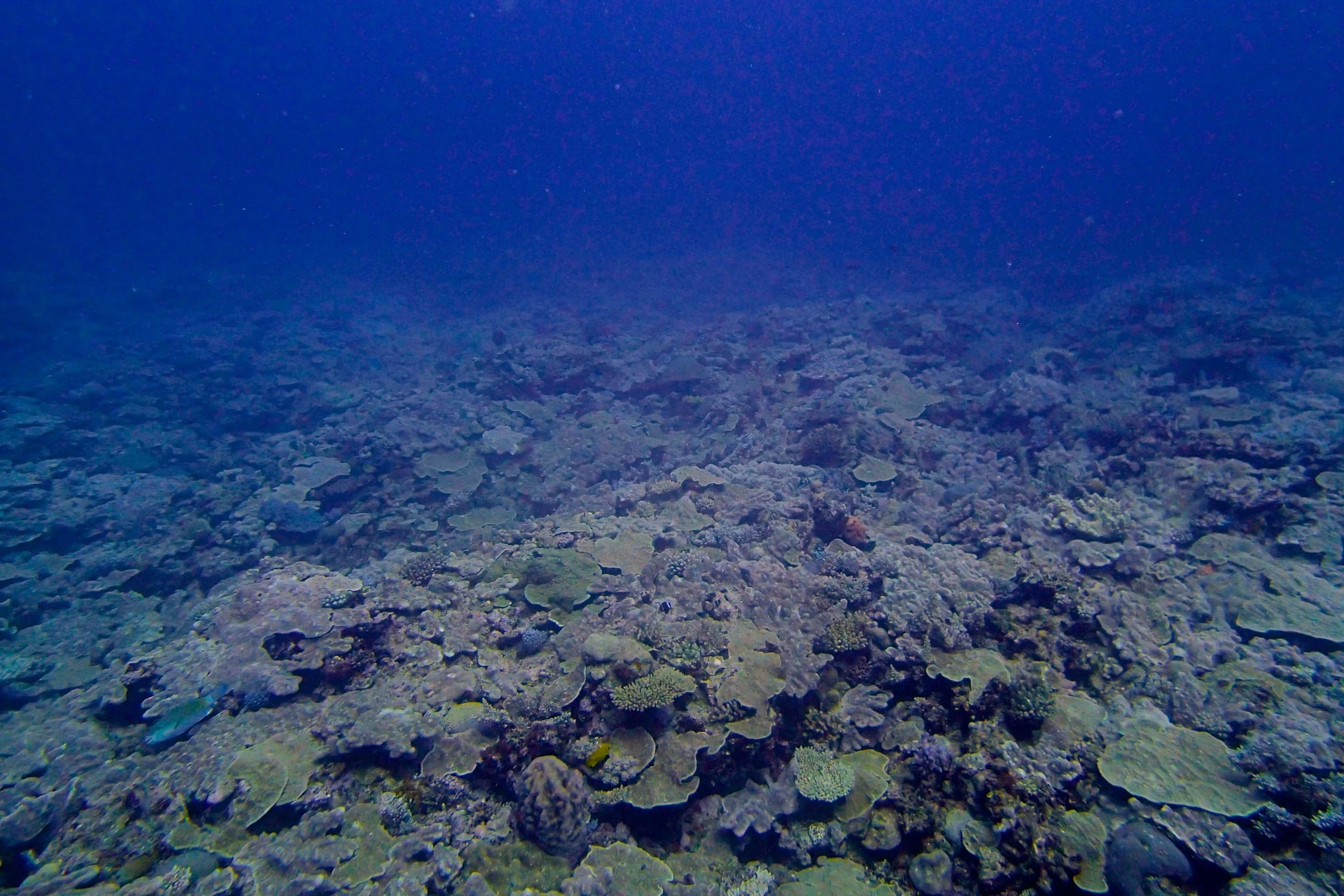 view from 15 m.jpg