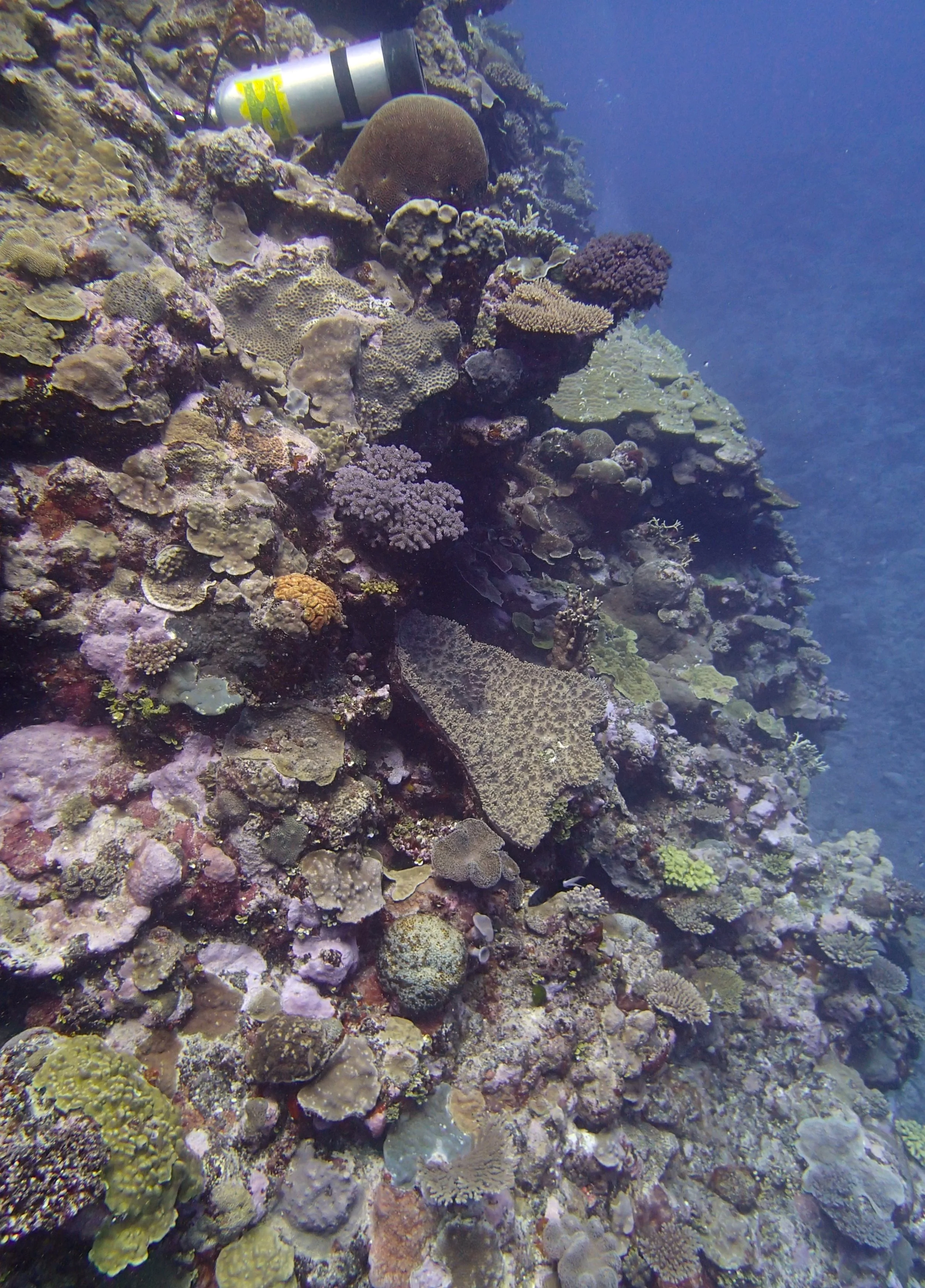 PB113302.jpg
