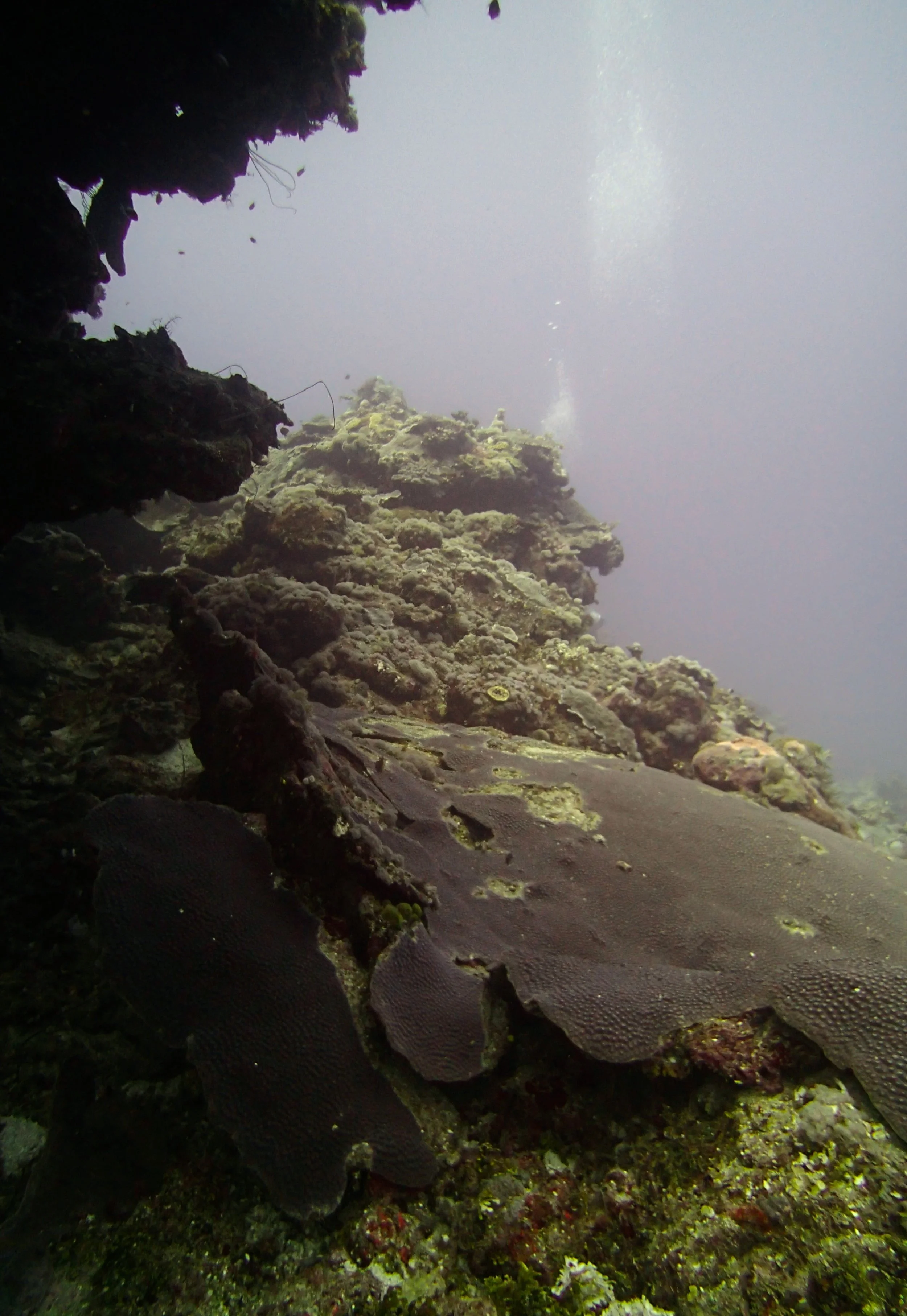 cave at 30 meters.jpg