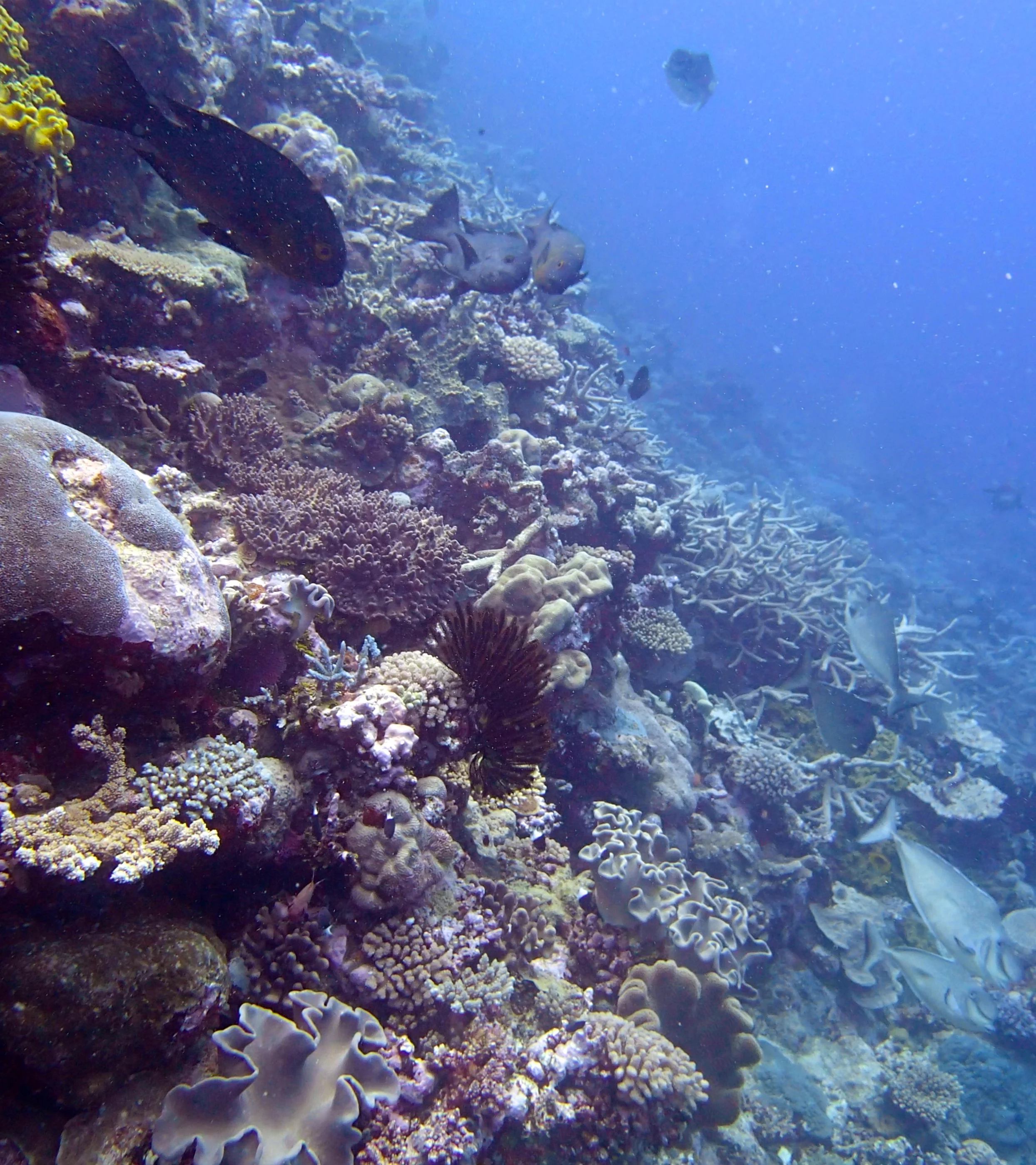 PB153564.jpg
