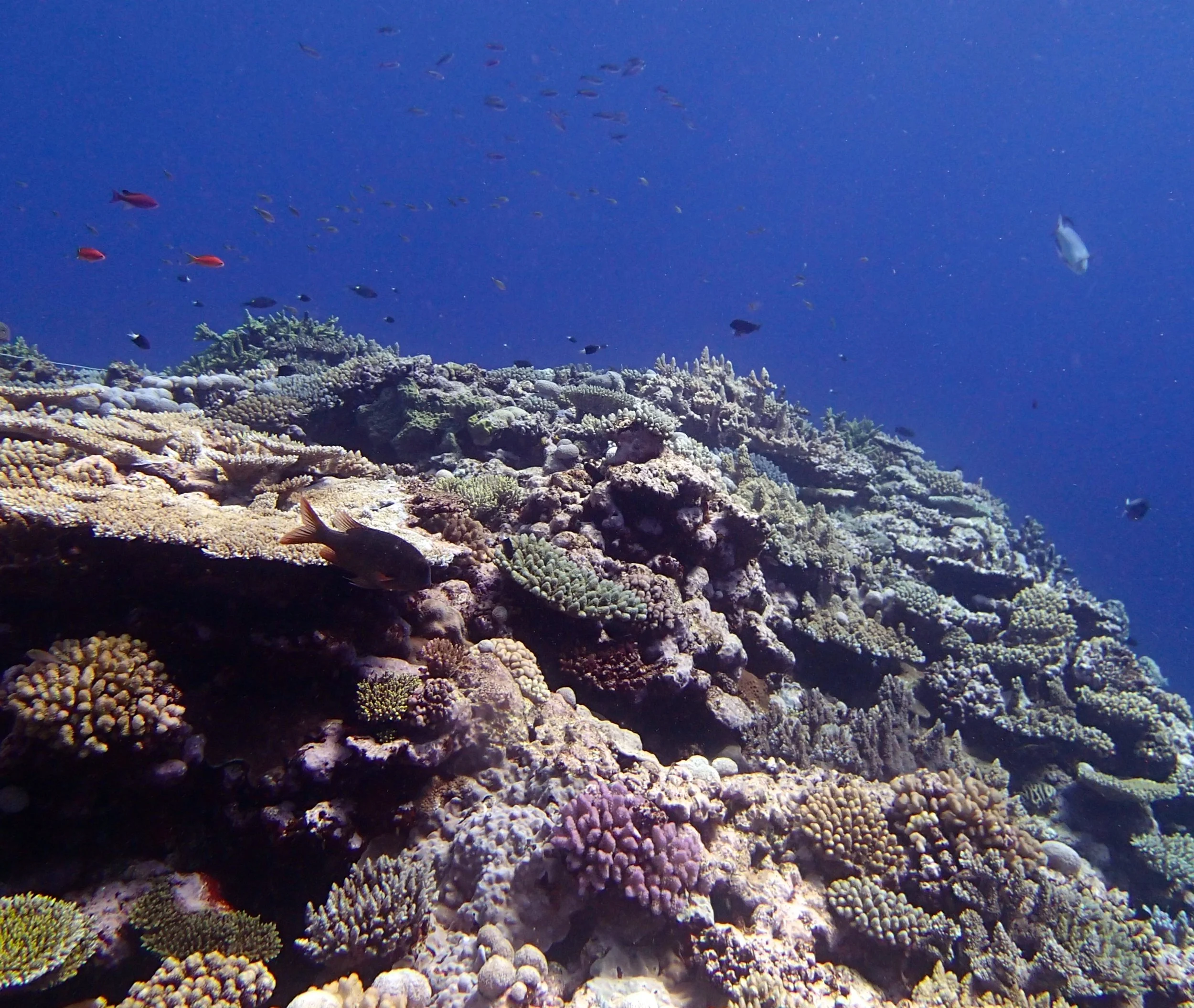 good shot of shallows.jpg