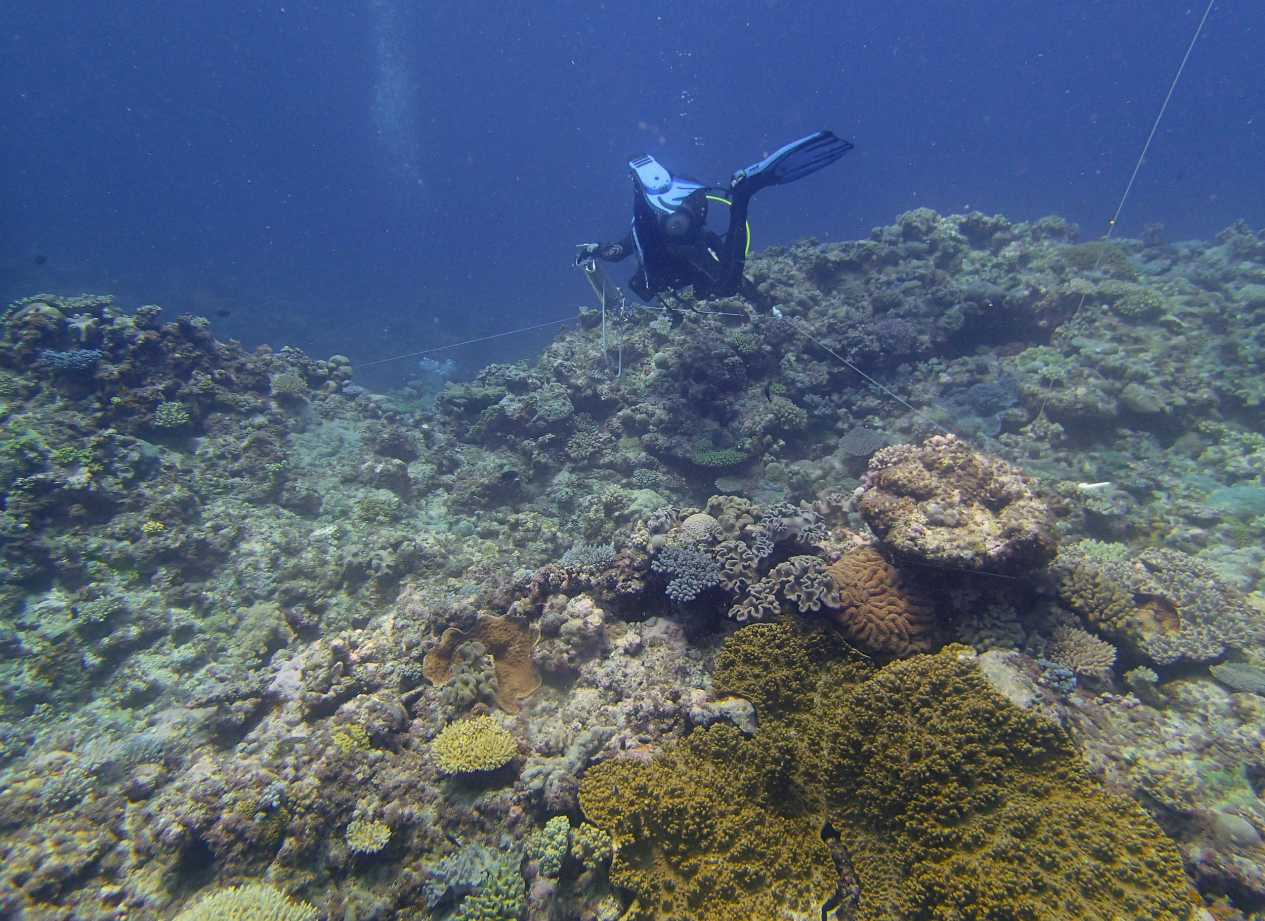 night dive setup.jpg