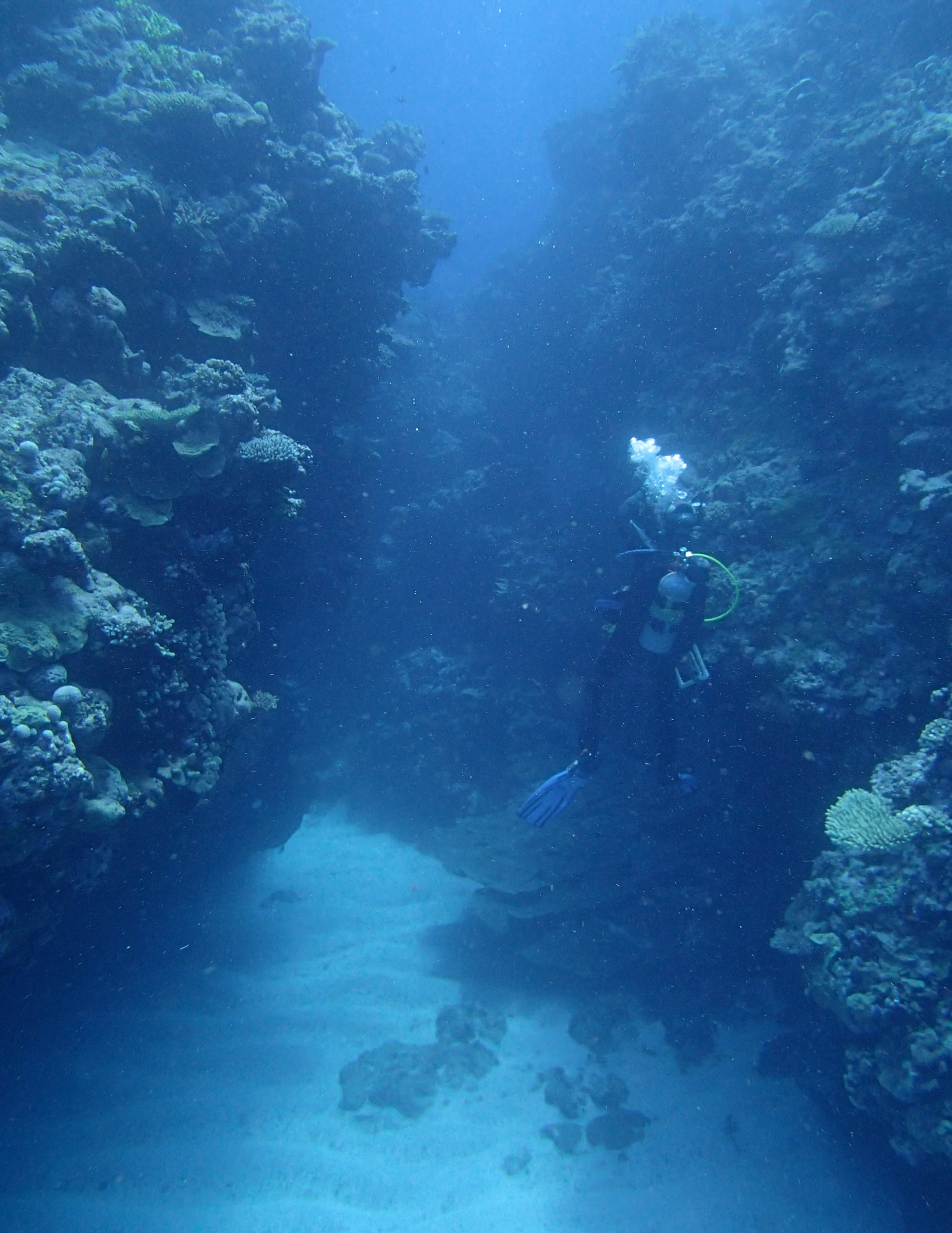 coral cavern.jpg