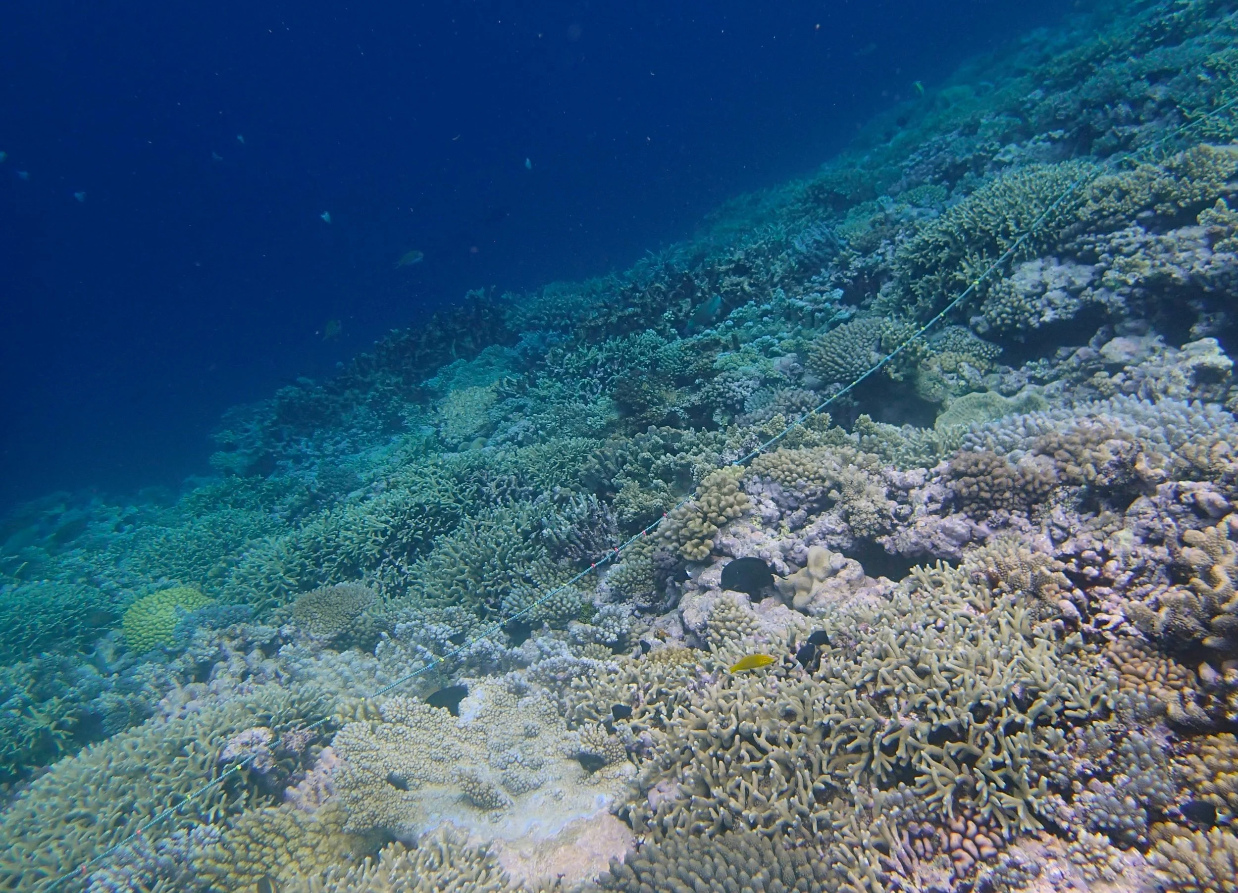 end of the dive.jpg