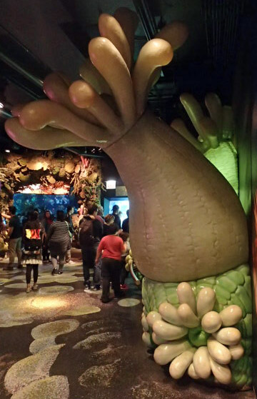 @ Shedd Aquarium